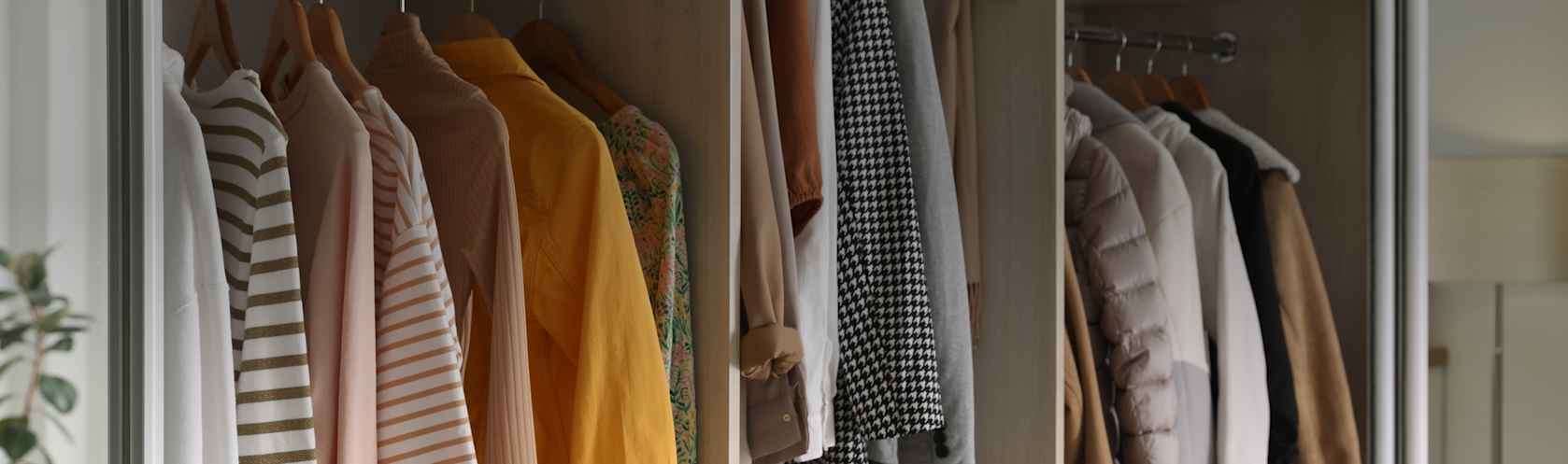 Top-rated closet pros.