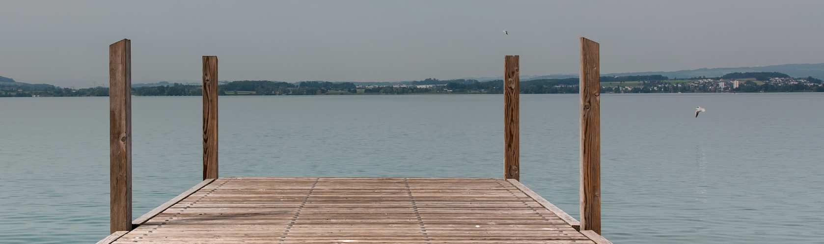 Top-rated dock building and repair pros.
