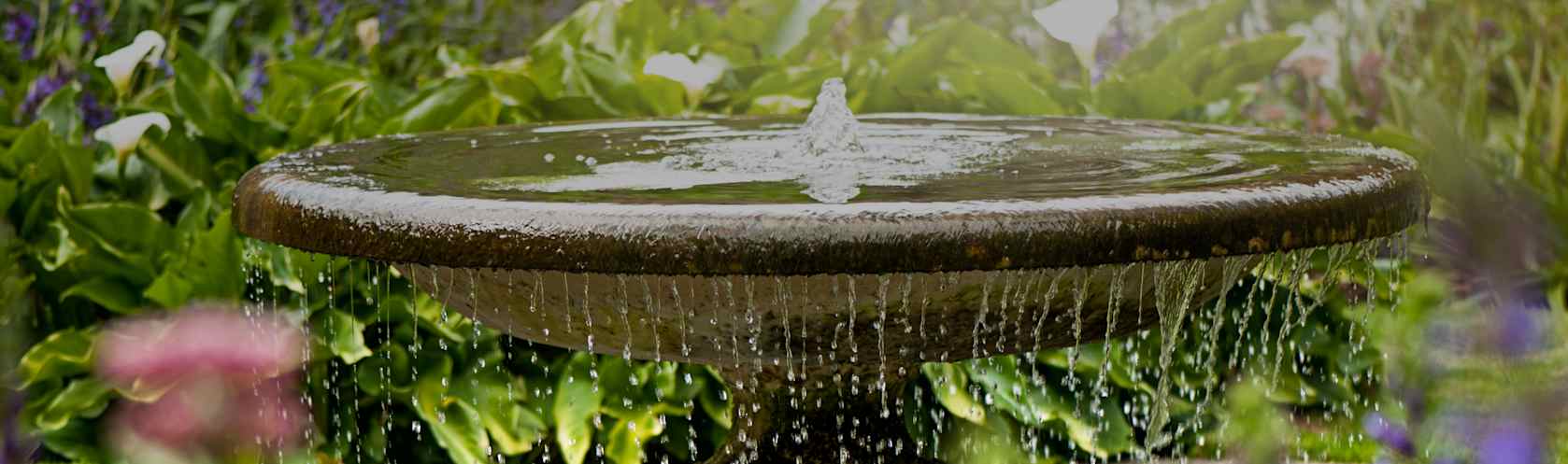 Top-rated fountain pros.
