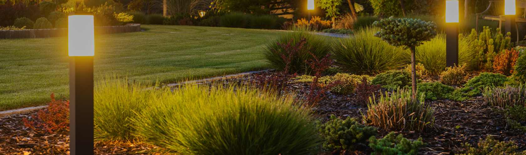 Top-rated exterior lighting pros.