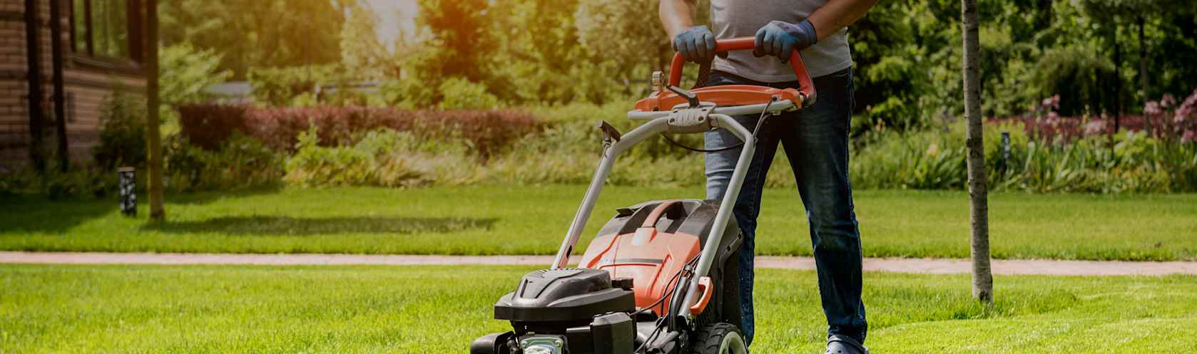 Top-rated lawn care providers.