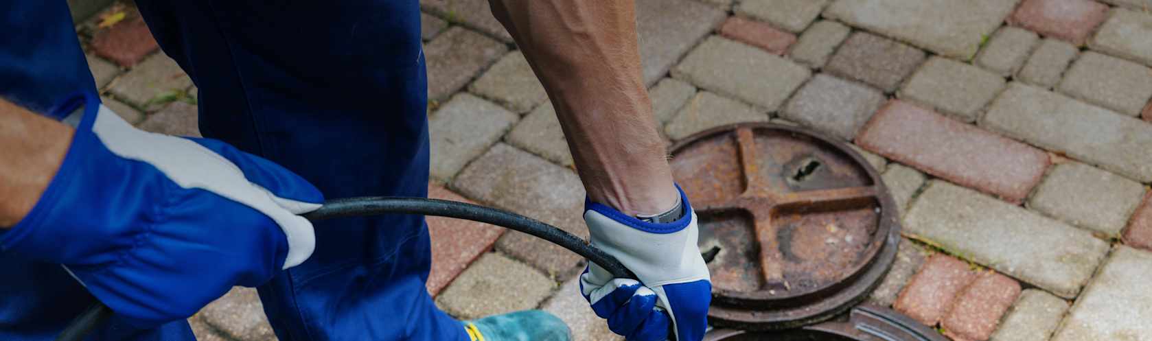 Top-rated sewer cleaners.