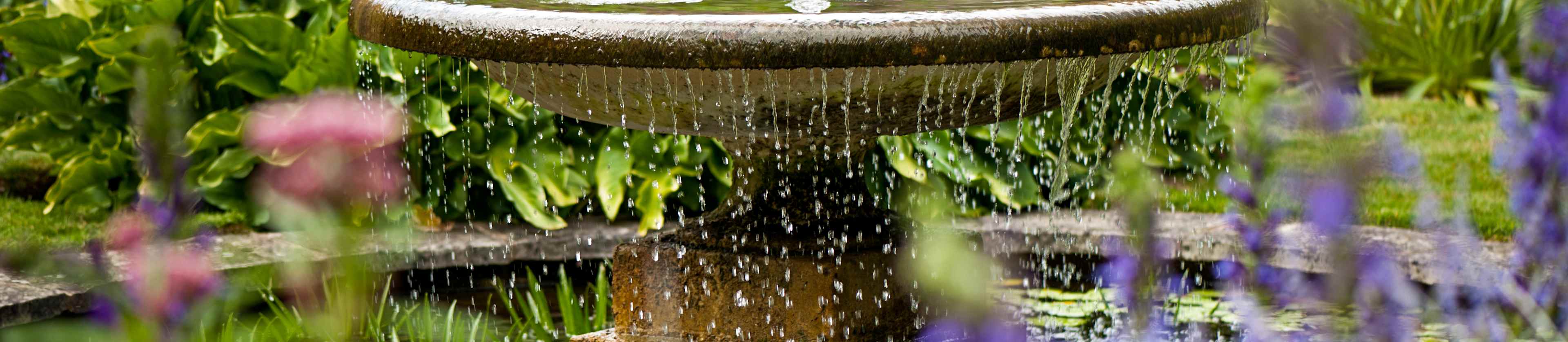 Top-rated fountain pros.