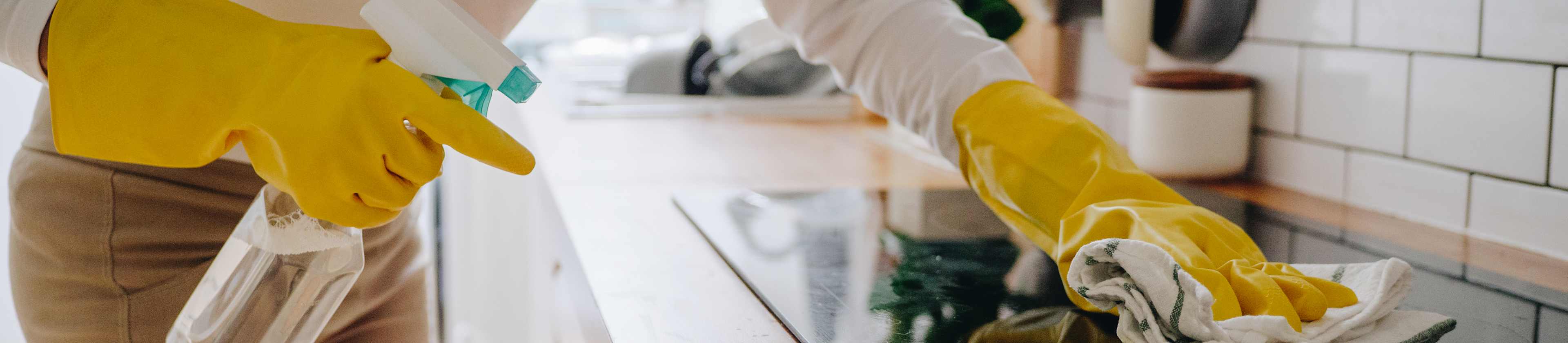 Top-rated cleaning & maid services pros.