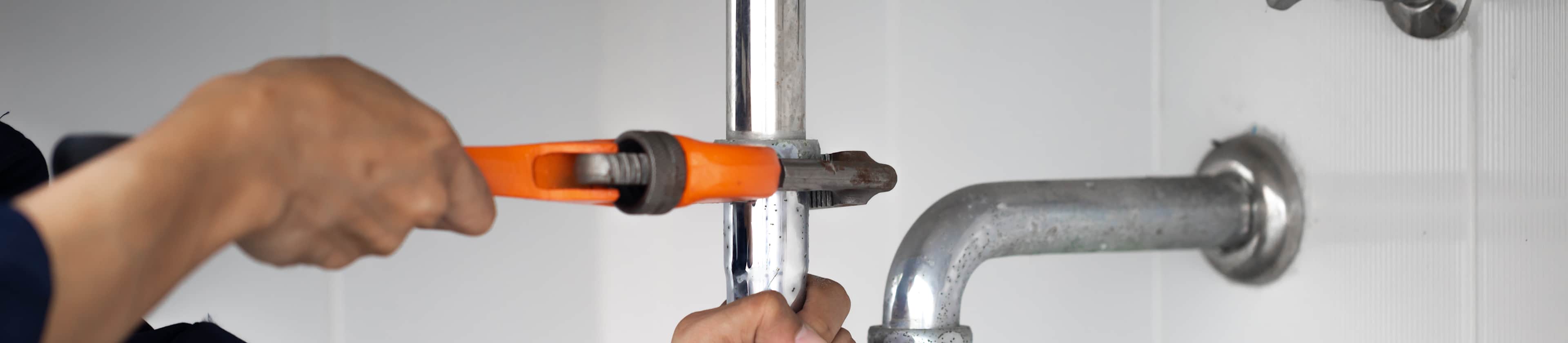 Top-rated plumbers.