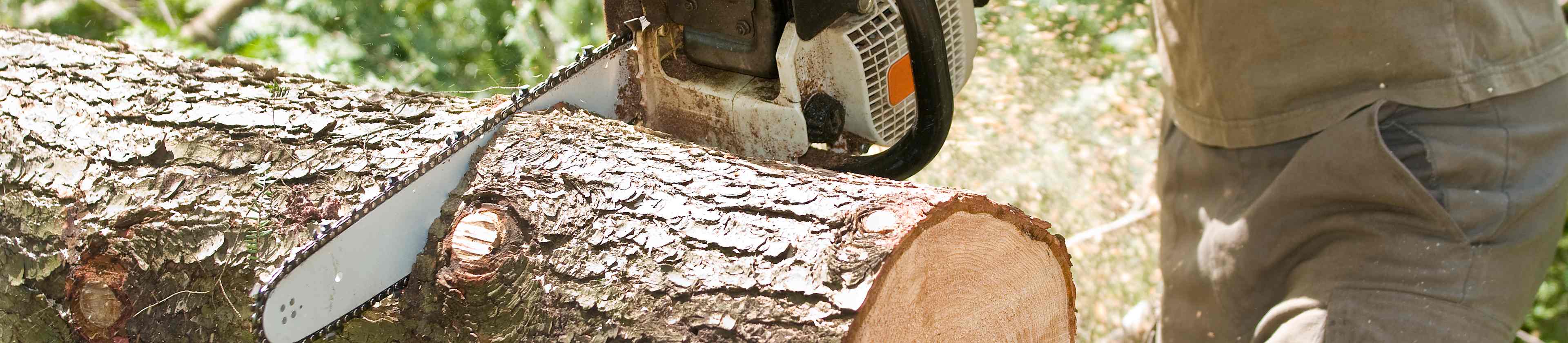 Top-rated tree service pros.