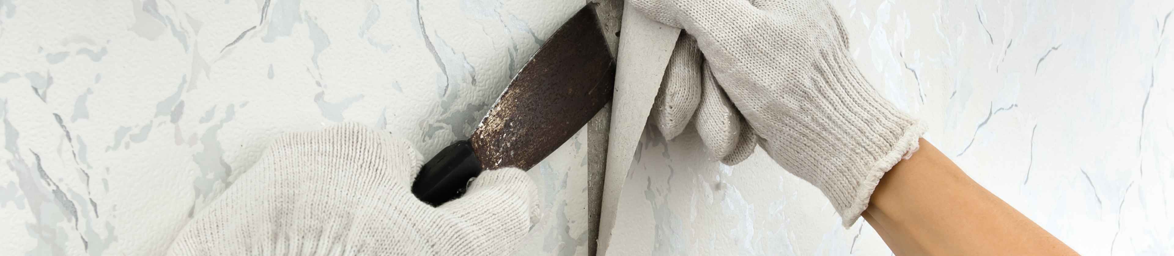 Top-rated wallpaper removers.