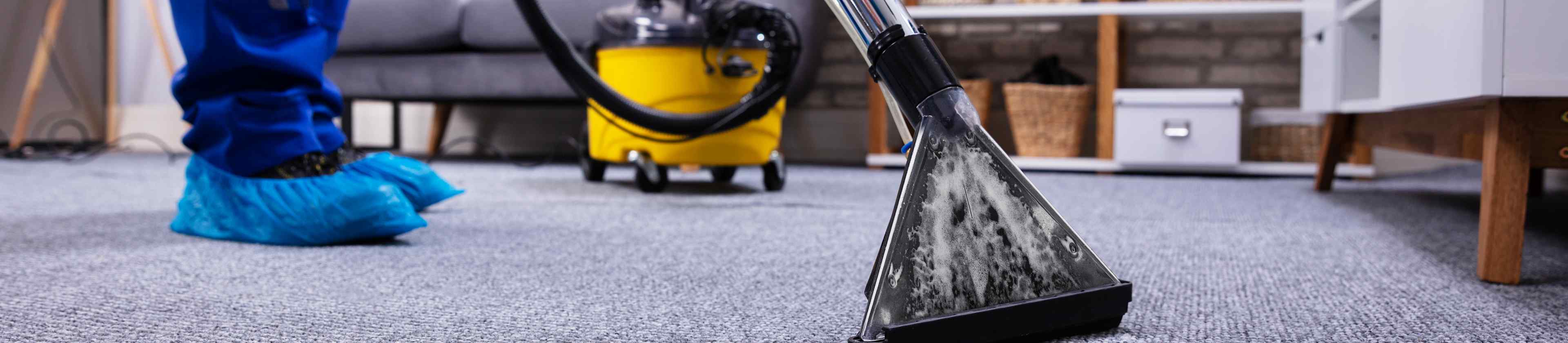 Top-rated carpet cleaners.