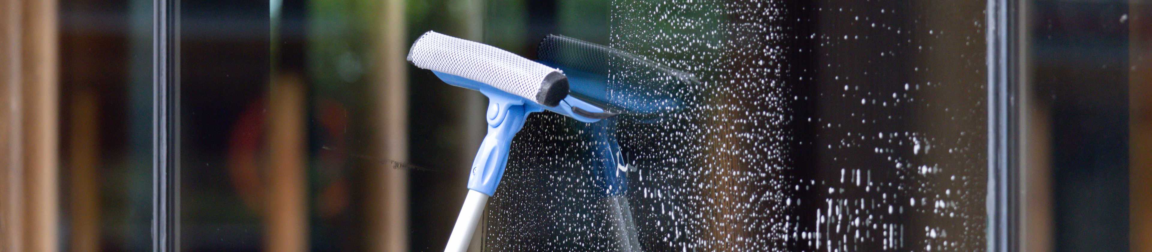 Top-rated window cleaners.