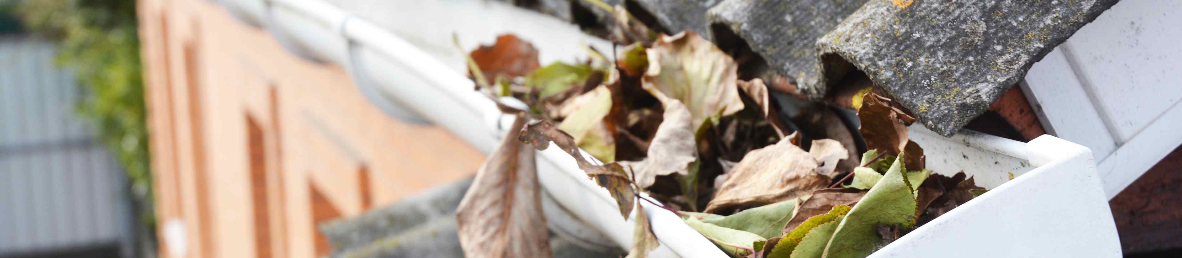 Top-rated gutter cleaning pros.