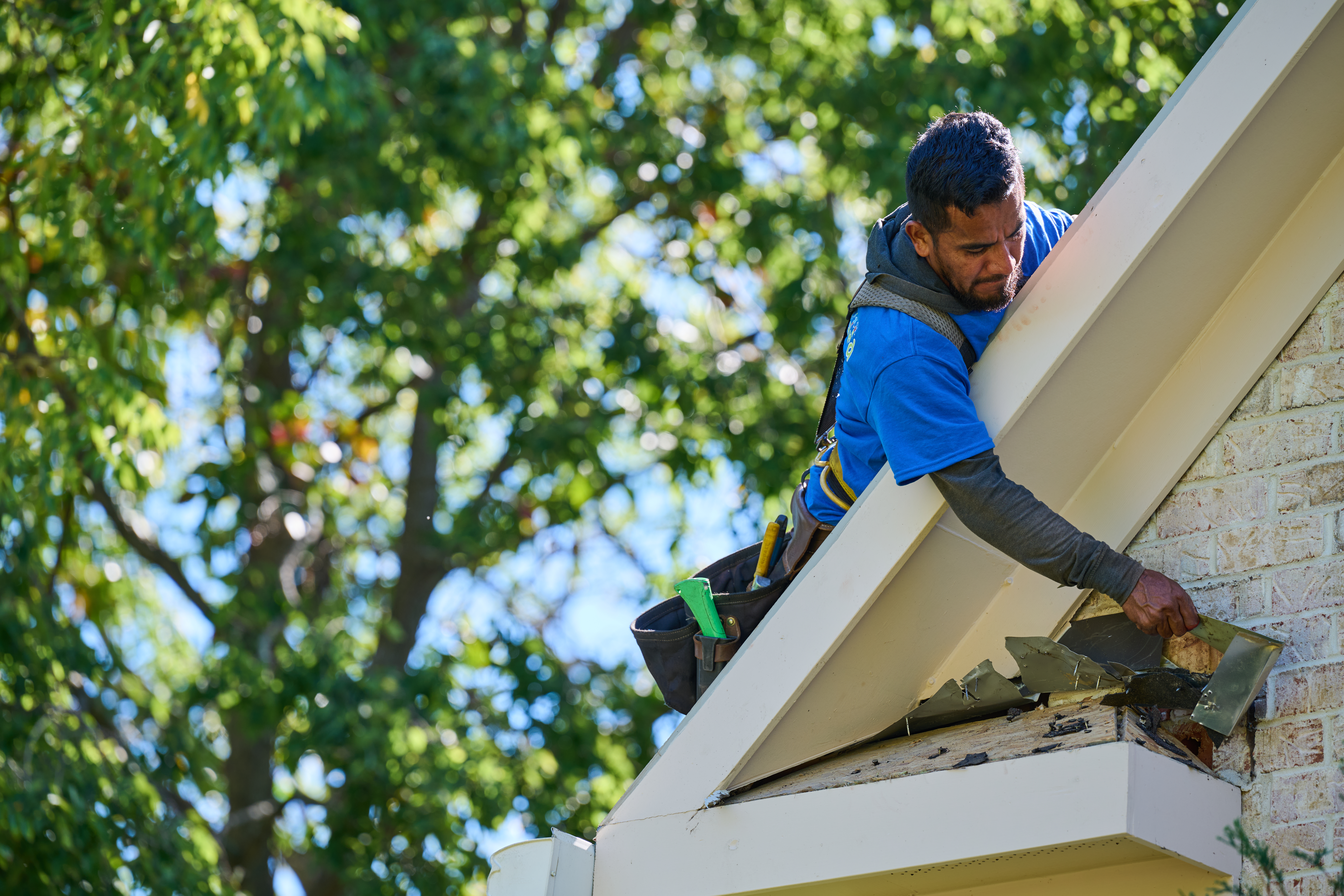 Roofer removing old shingles.
