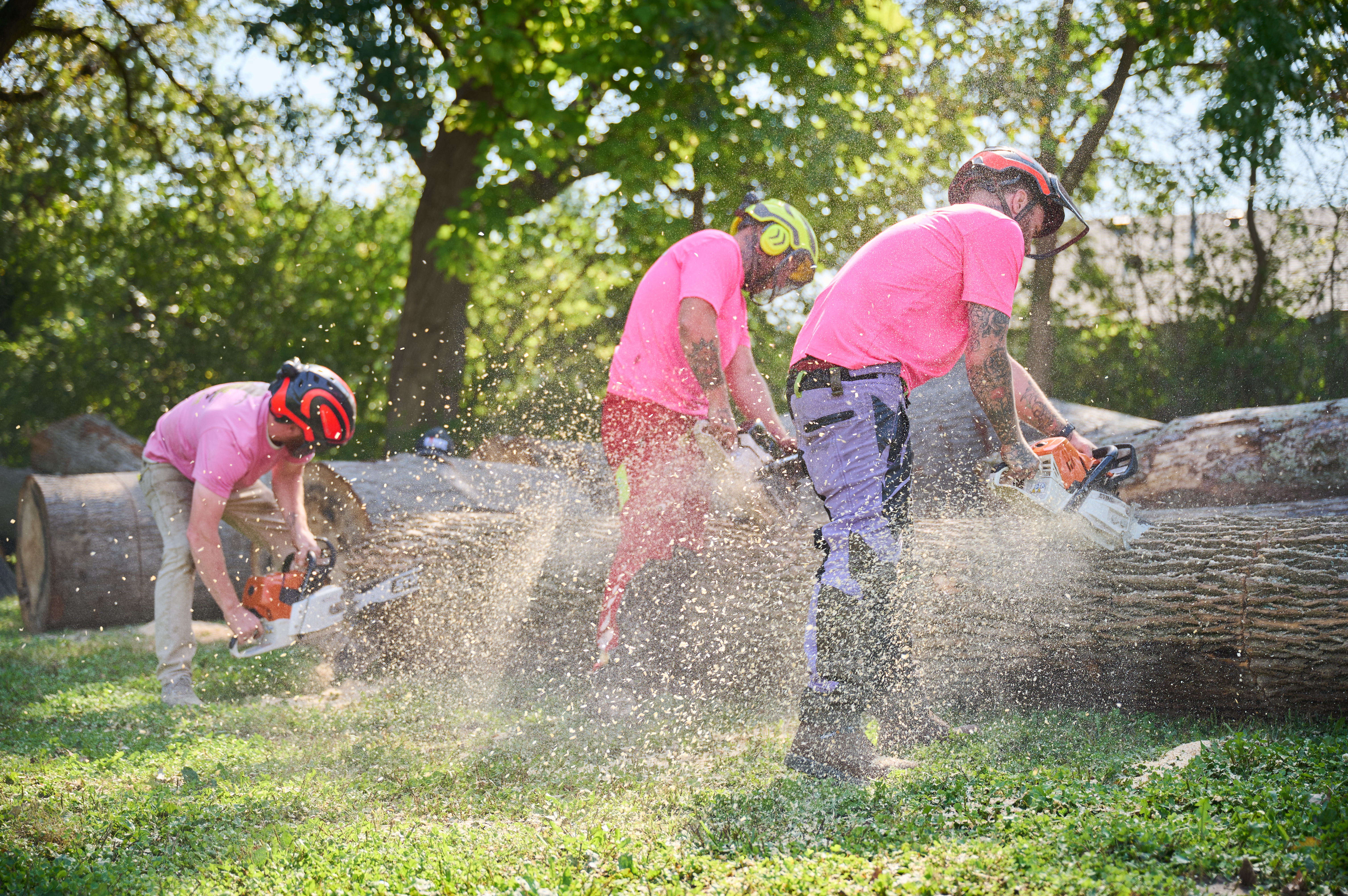Three works in safety helmets use chainsaws to cut large logs as sawdust flies in a sunny outdoor setting.