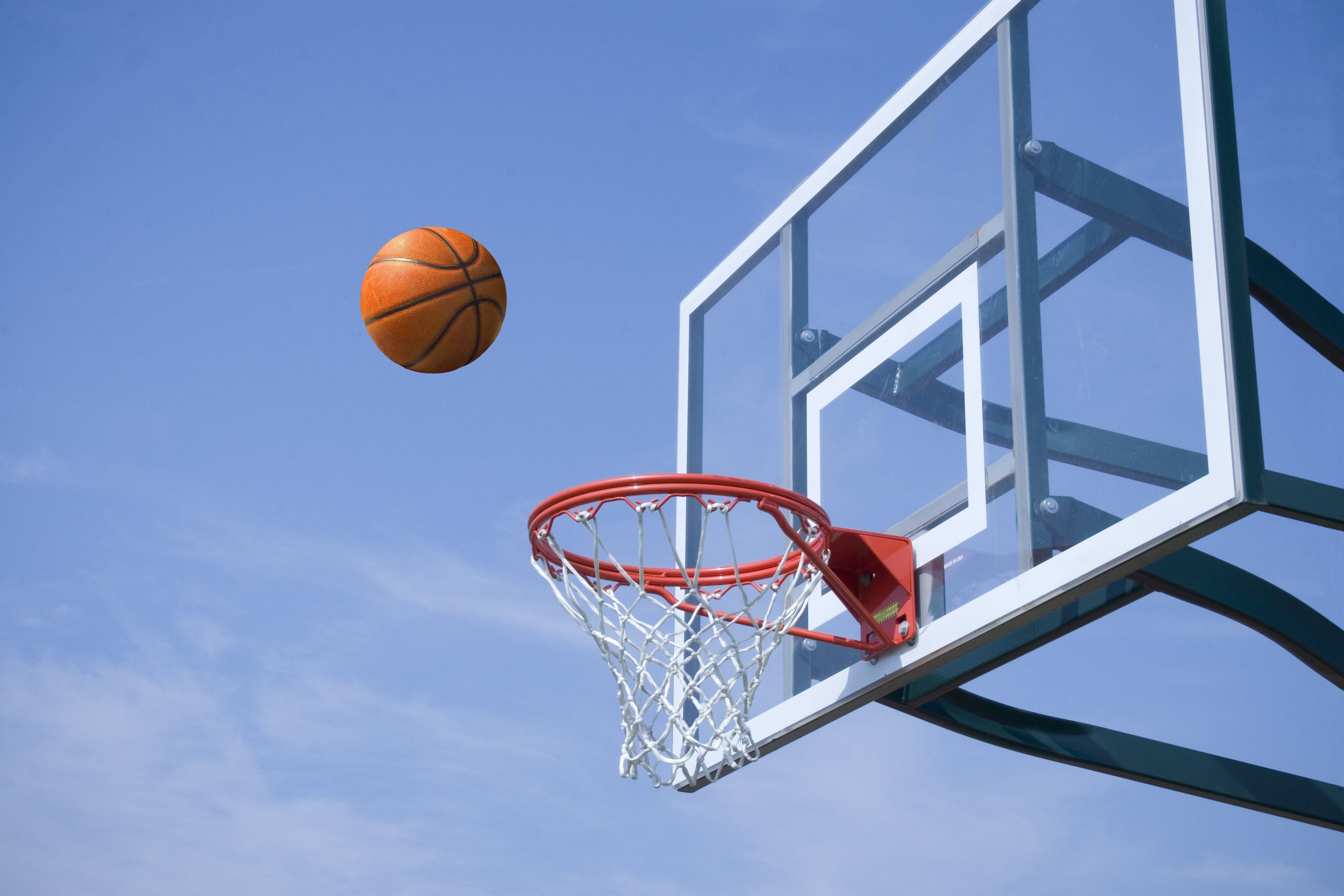 Top-rated basketball goal service pros.