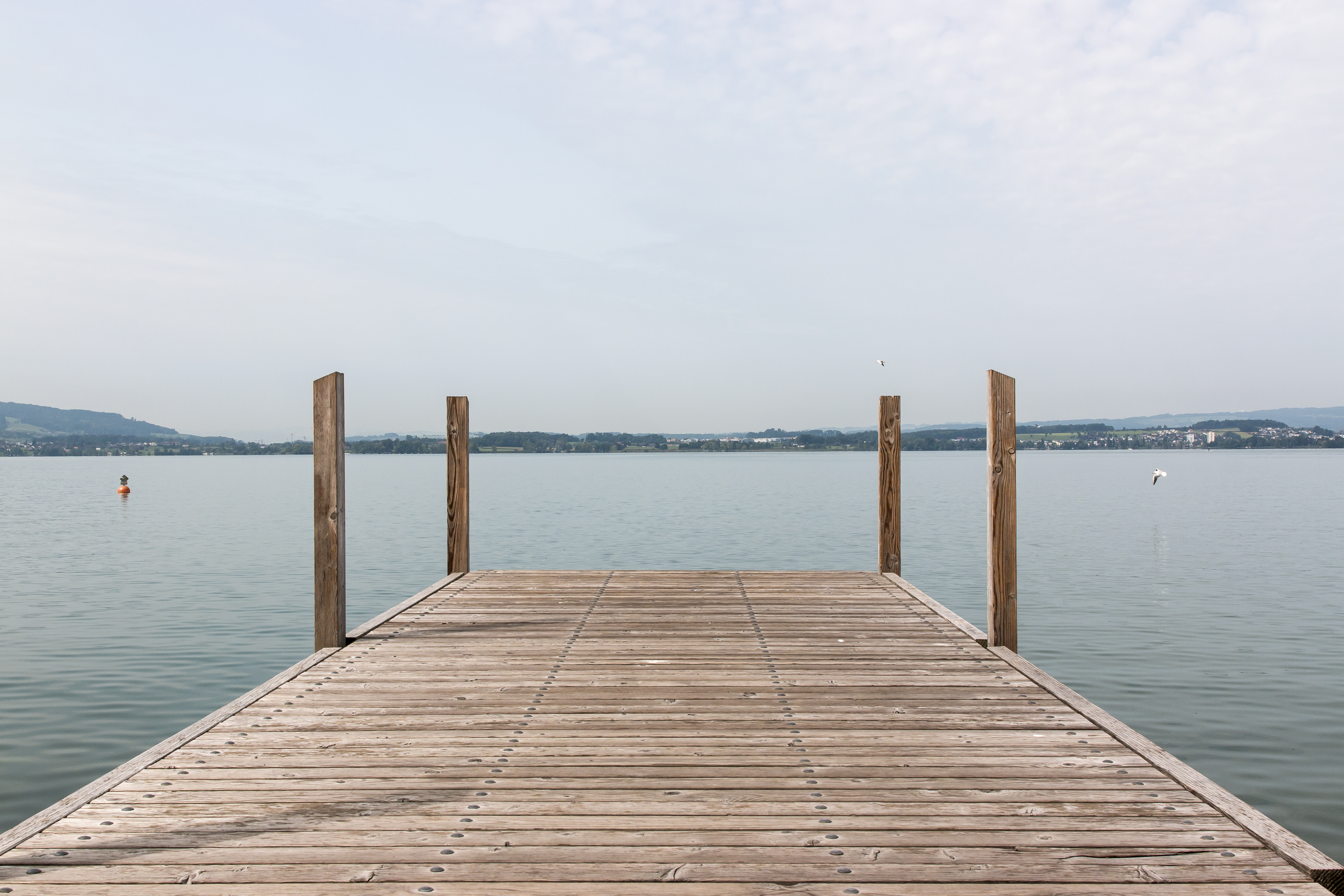 Top-rated dock building and repair pros.