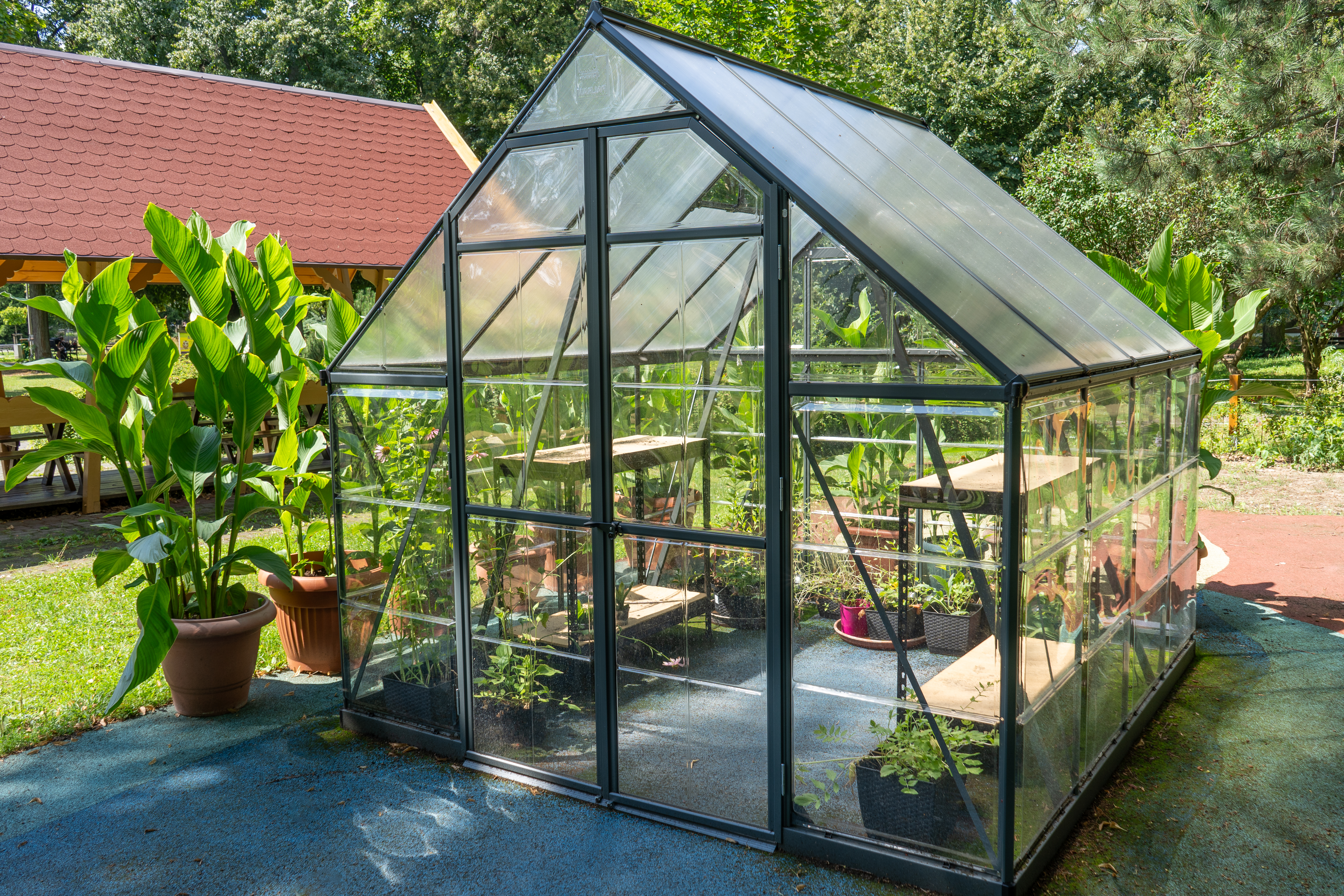A compact glass greenhouse sits in a garden, providing an ideal environment for growing flowers and vegetables, showcasing greenhouse functionality.