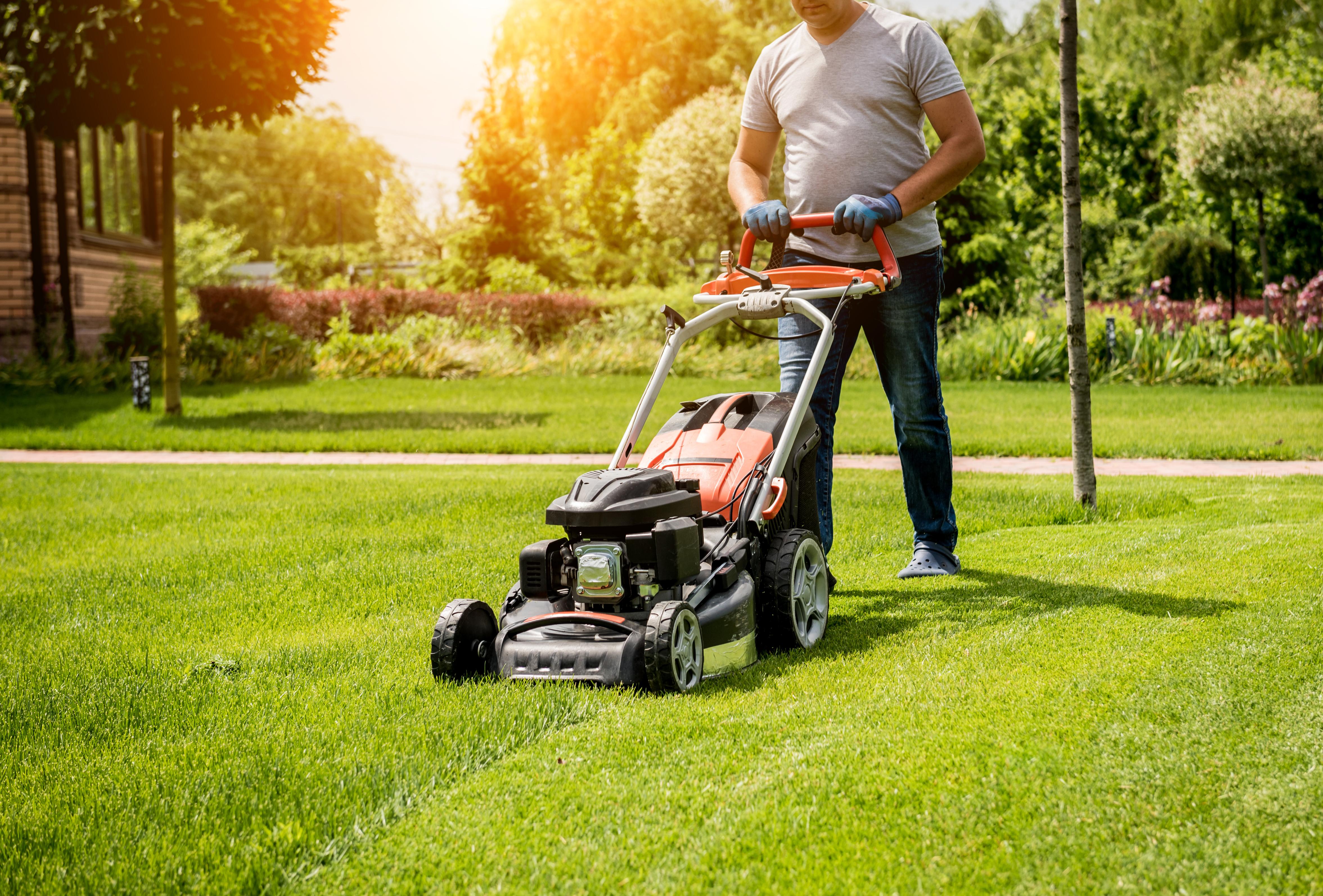 Top-rated lawn care providers.