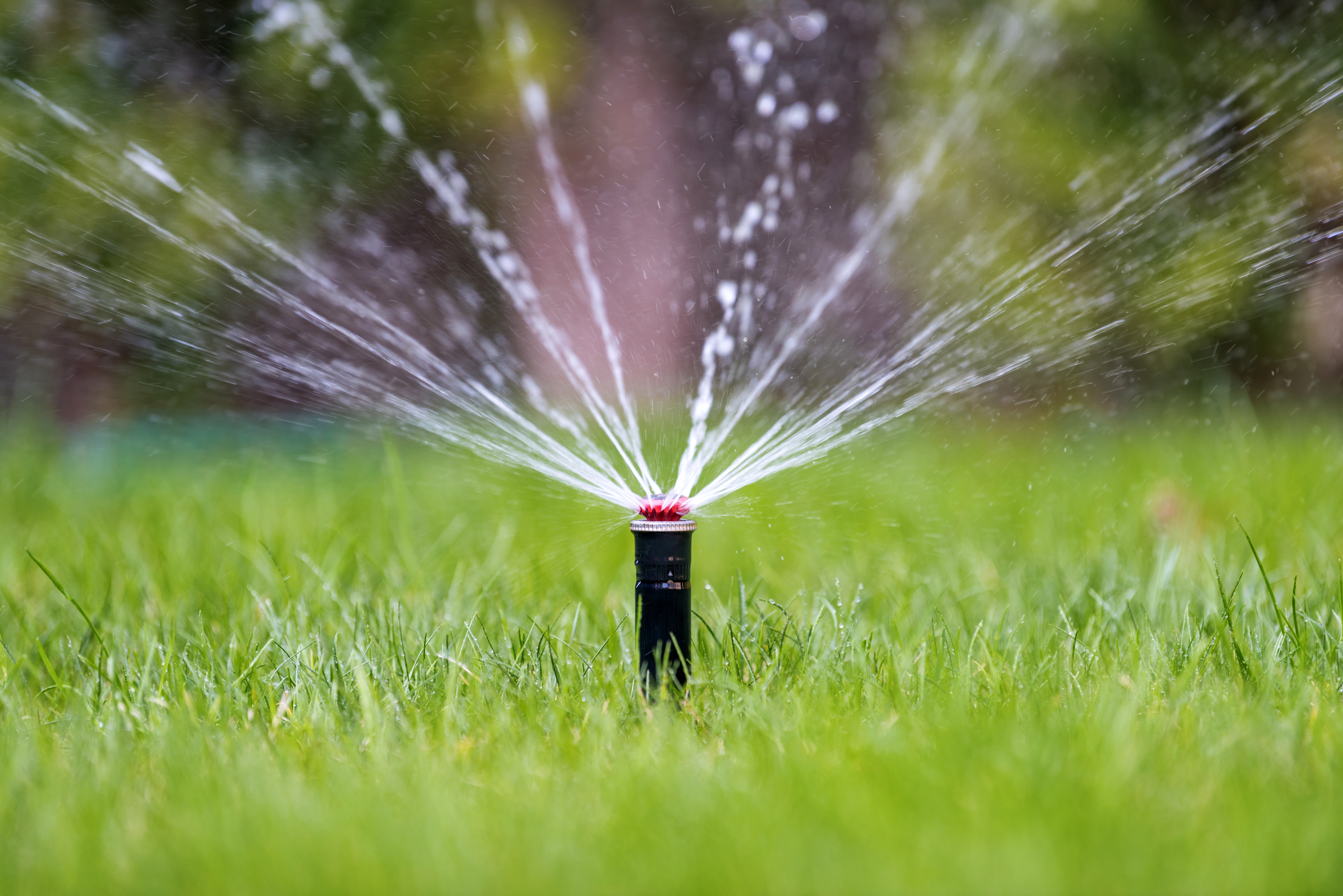Top-rated lawn irrigation specialists.