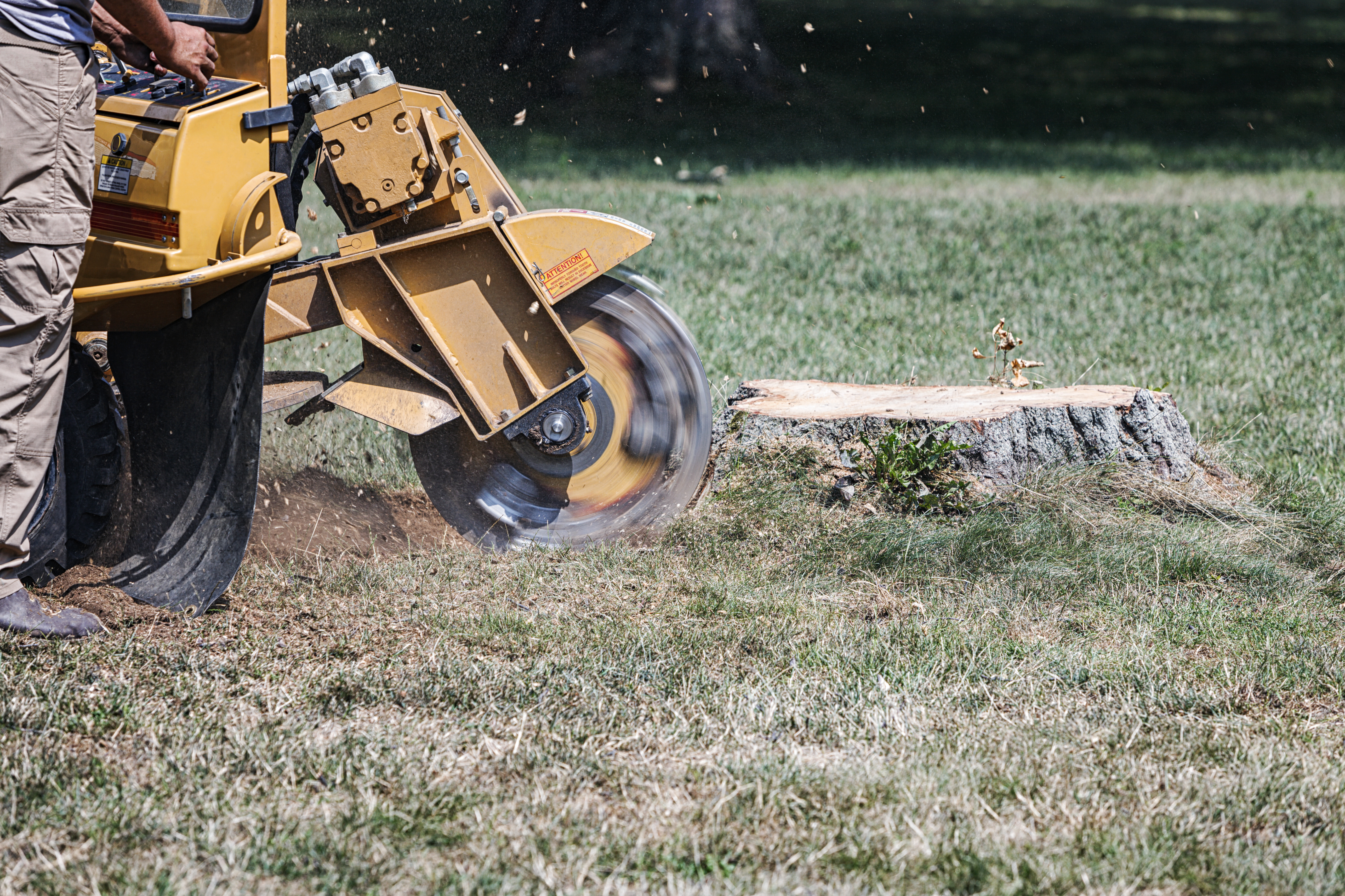 Top-rated stump removal pros.