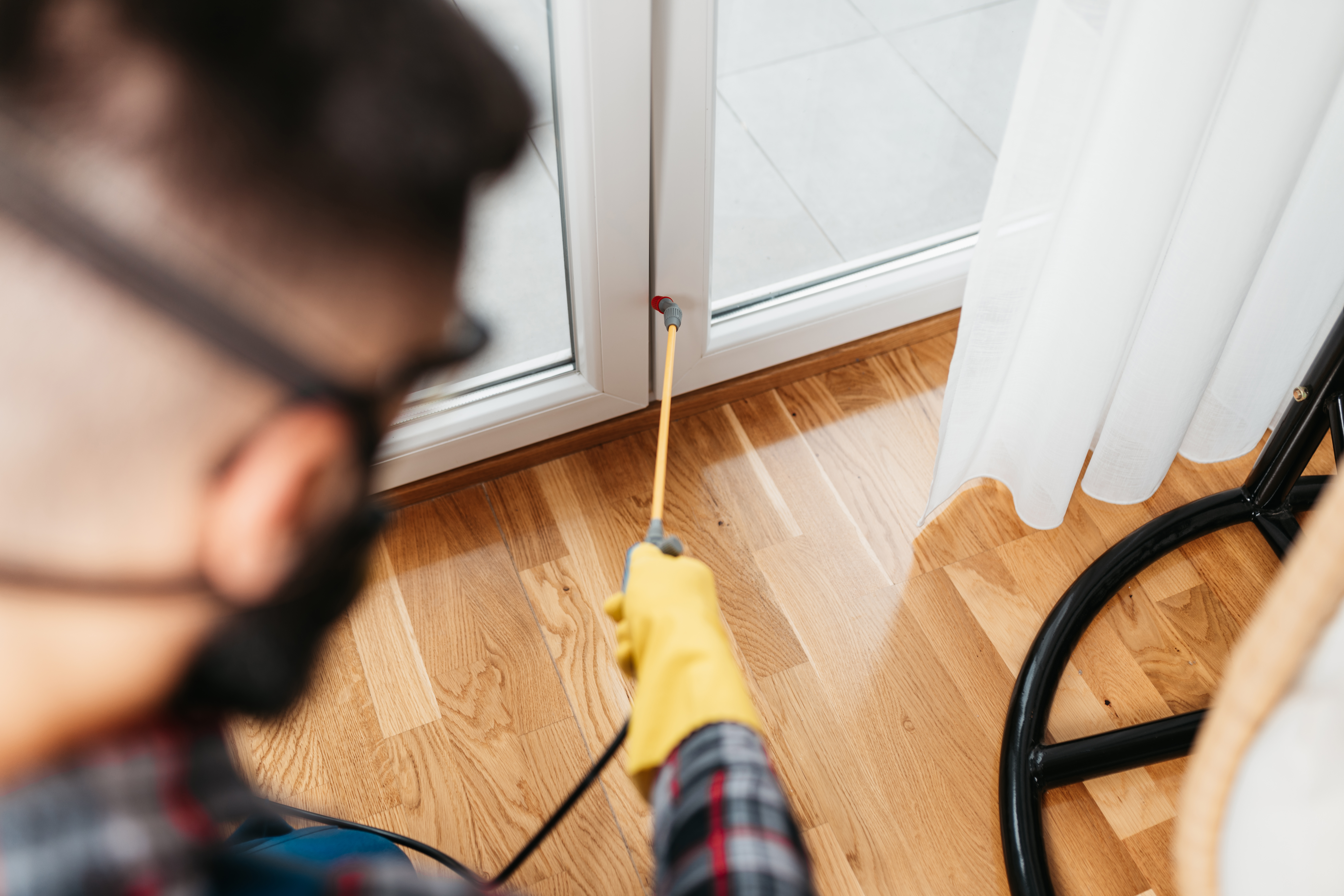 Hire the Best Local Exterminators Near Me with Reviews | Angi