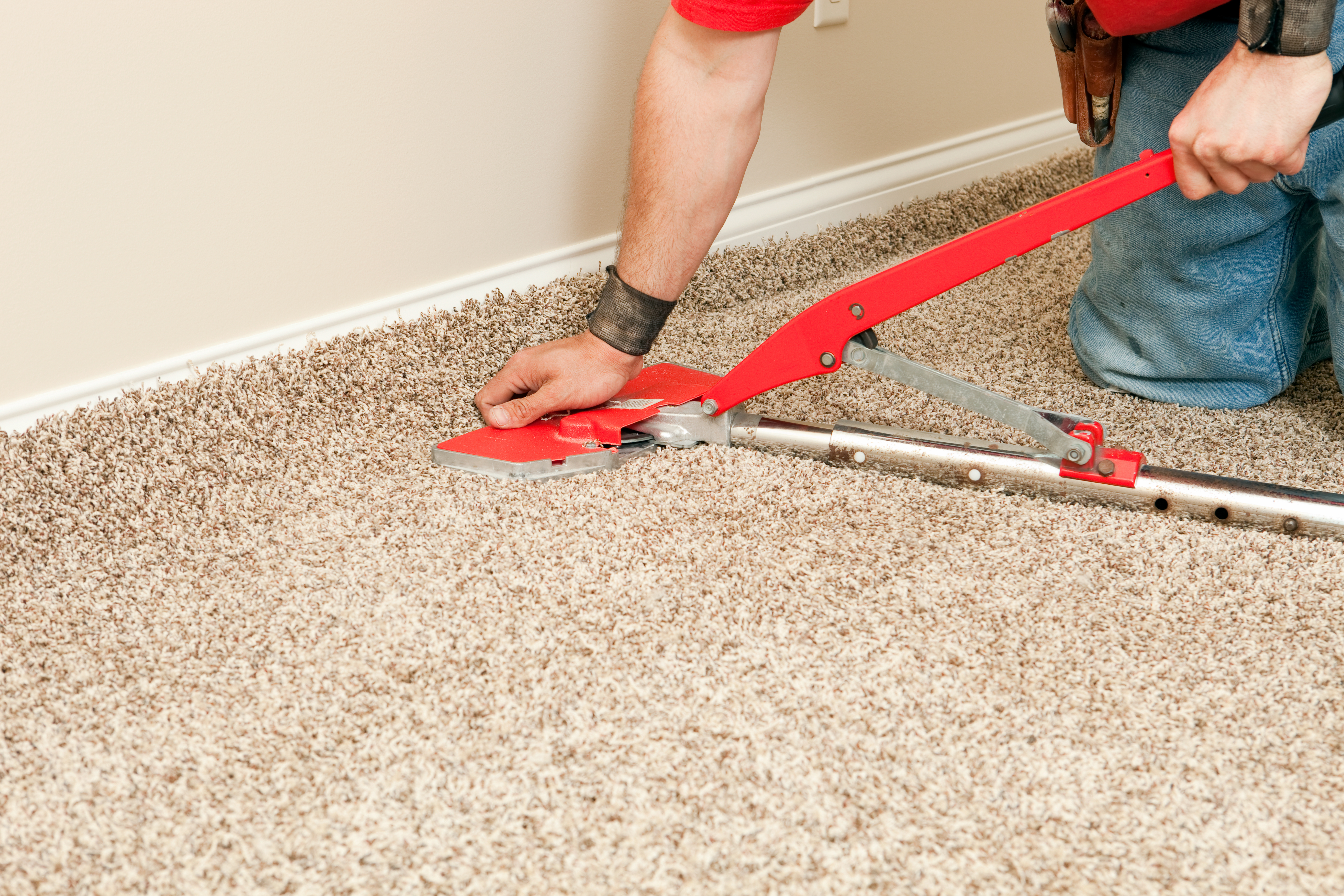 Top-rated carpet stretching pros.