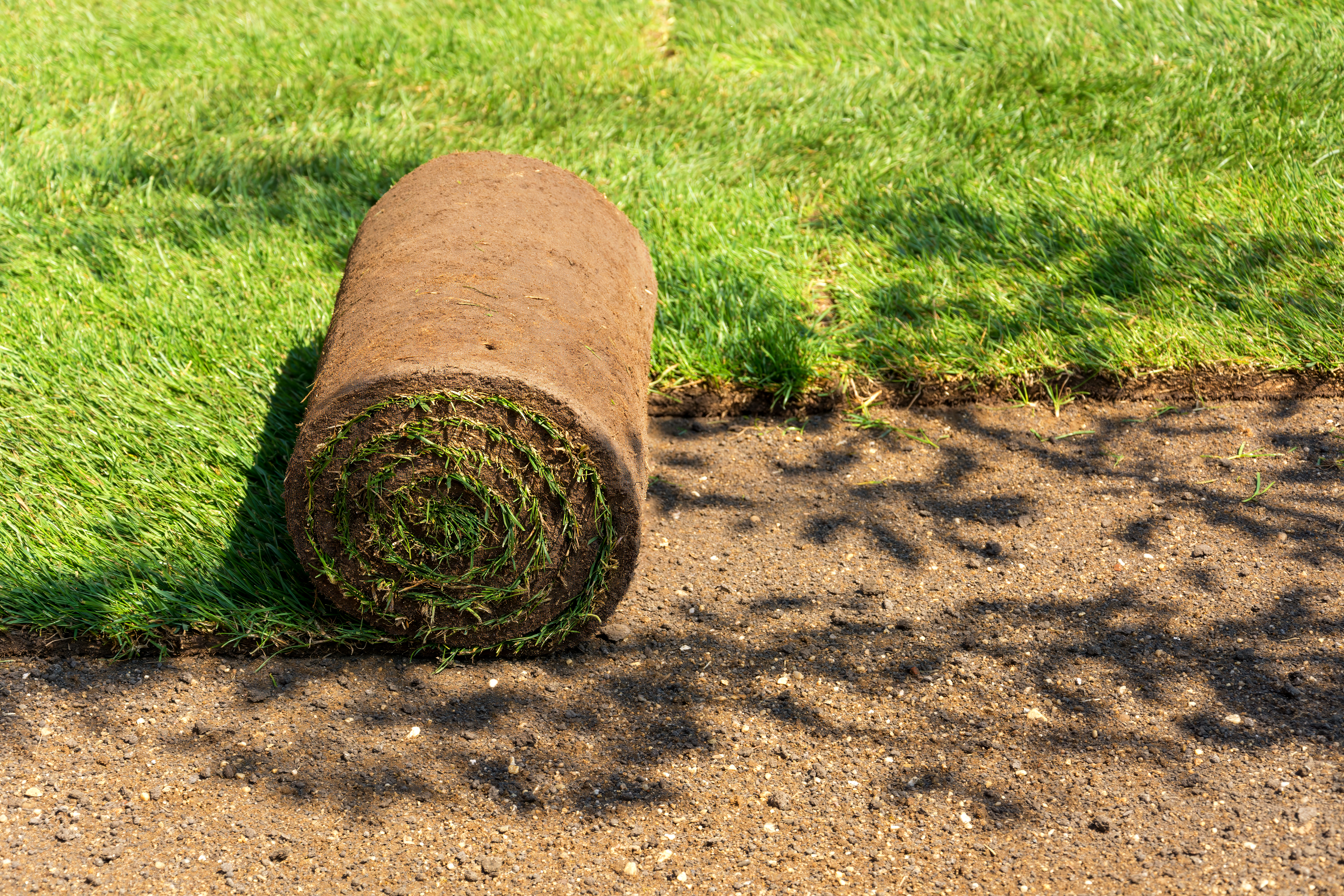 Top-rated sod pros.