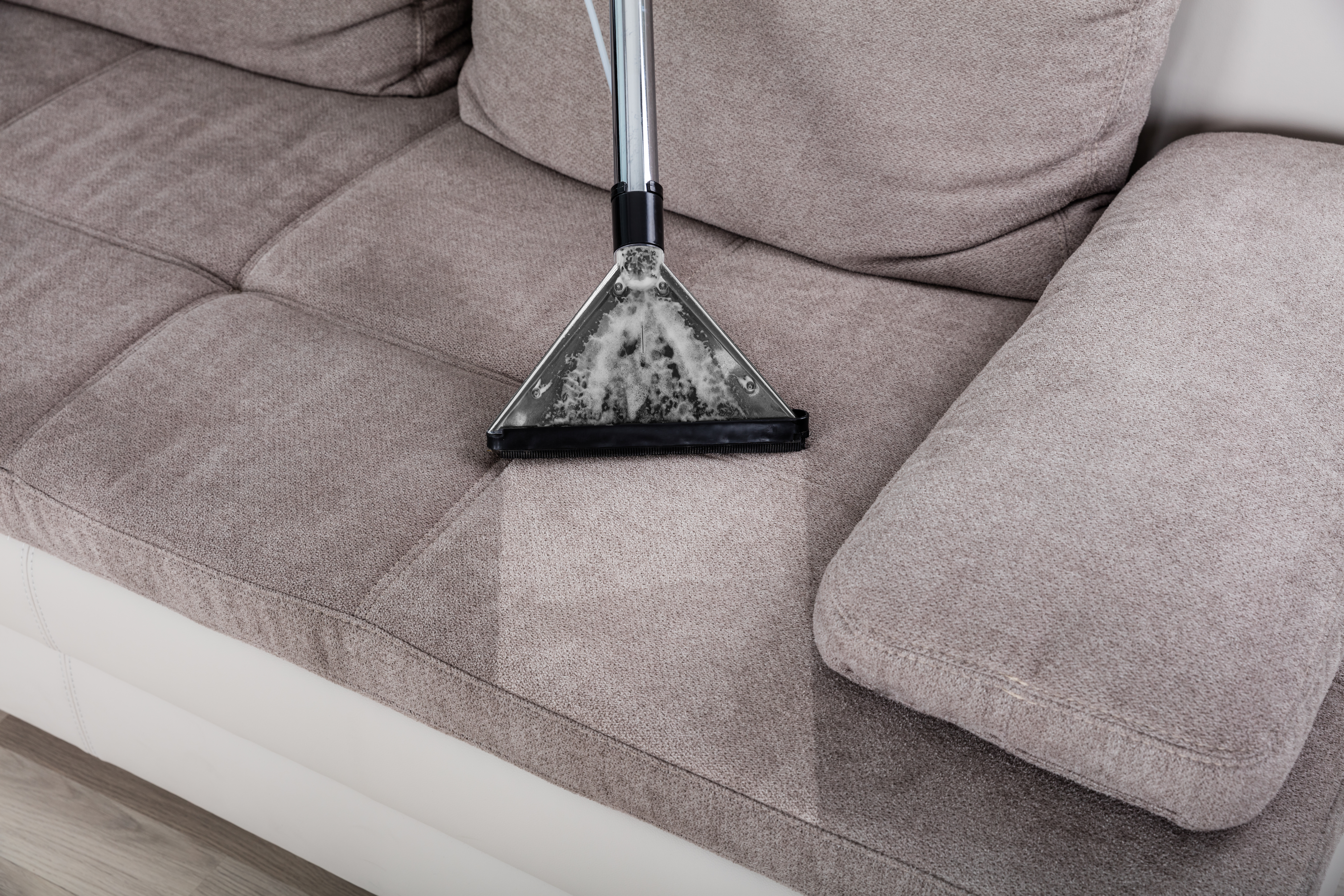 Top-rated furniture cleaning pros.