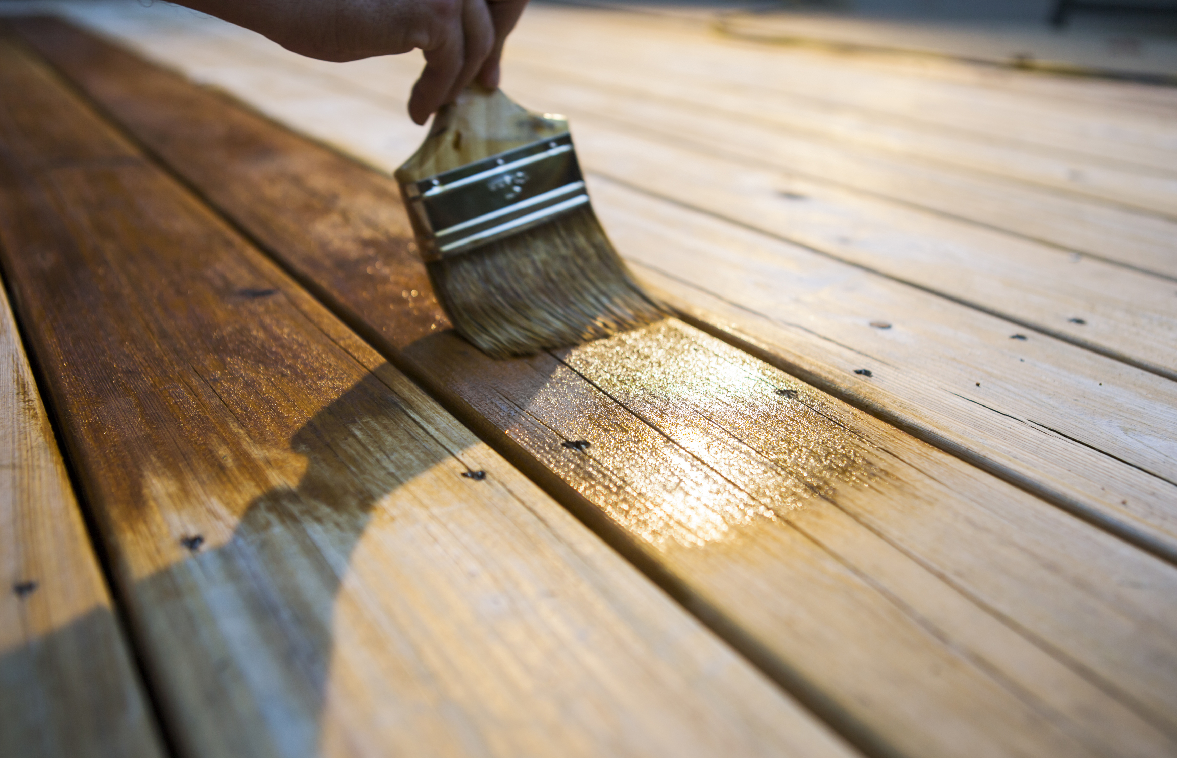 Top-rated deck maintenance specialists.