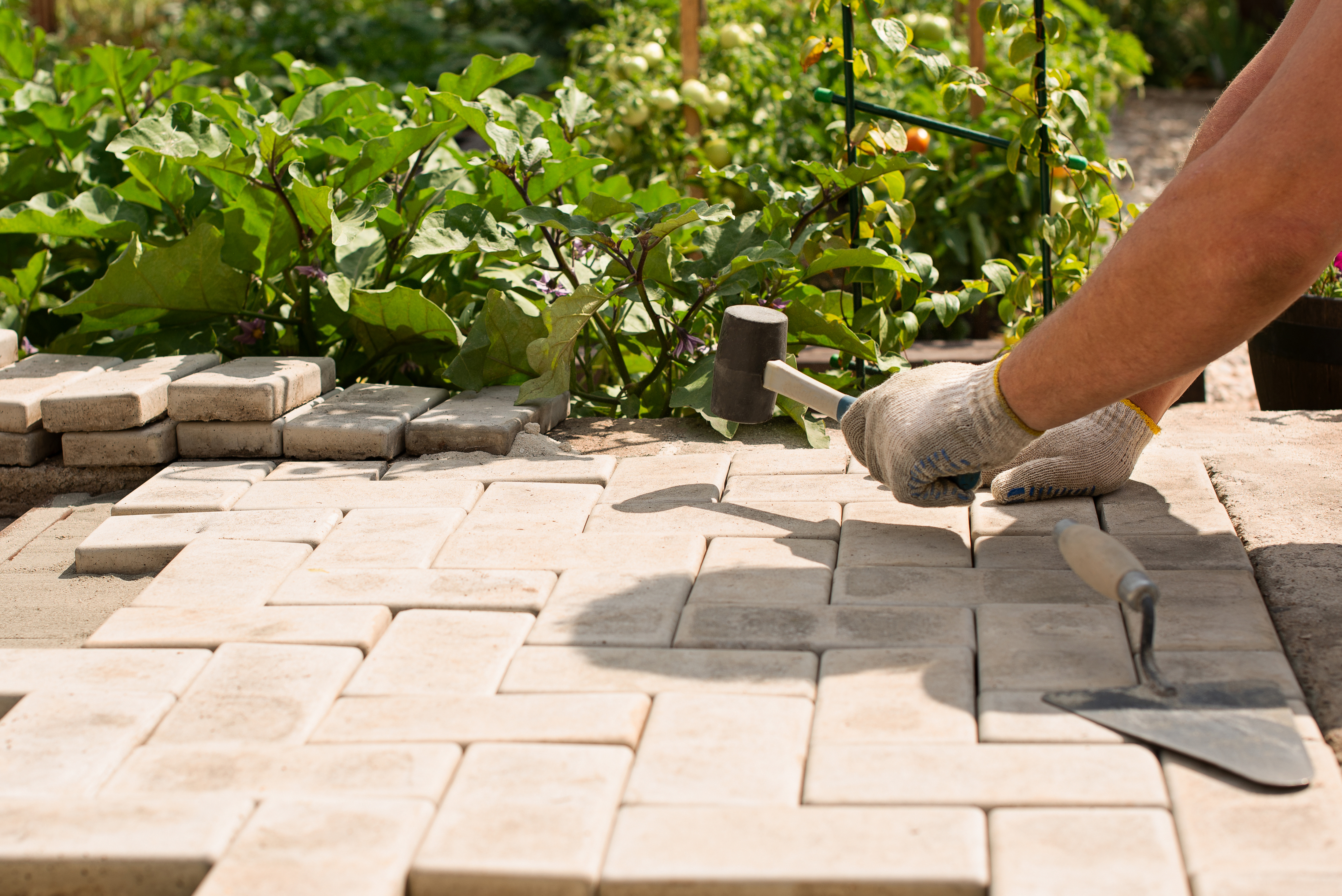 Top-rated pavers and hardscaping pros.