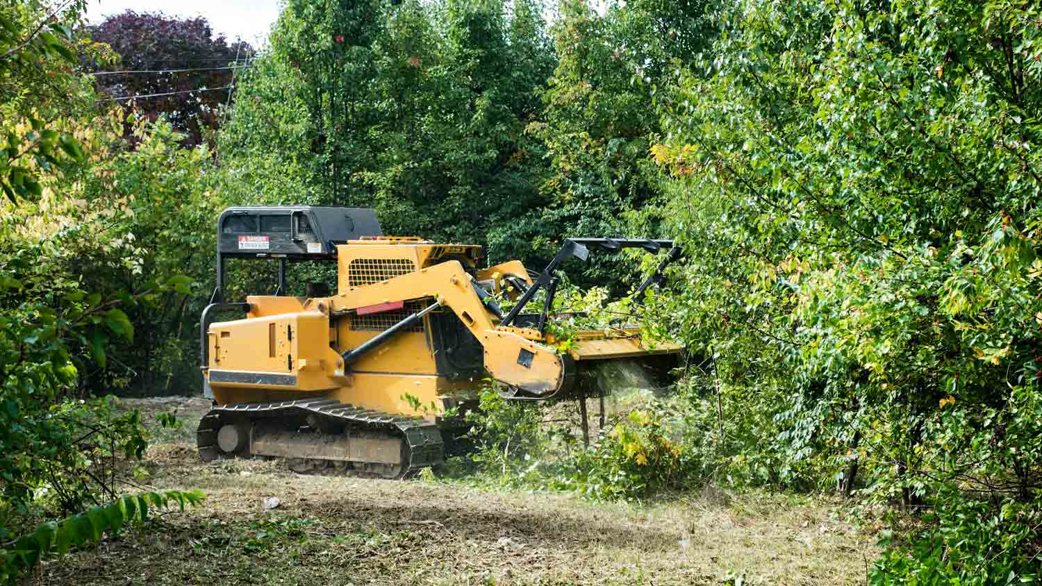 forestry mulcher grinder