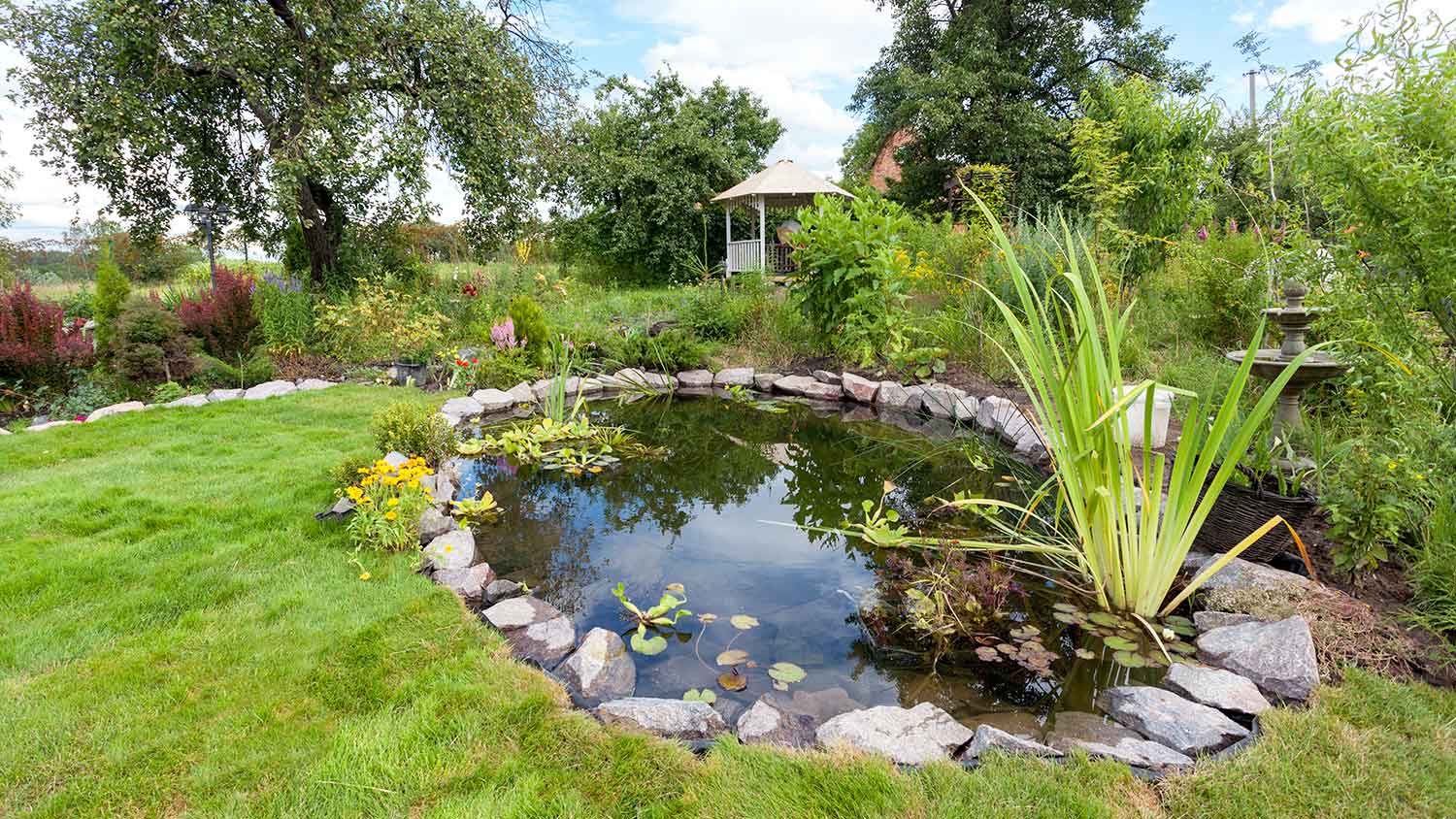 Backyard with a large pond