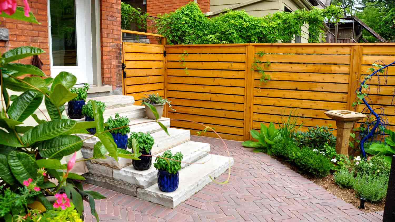 wood fence in small backyard