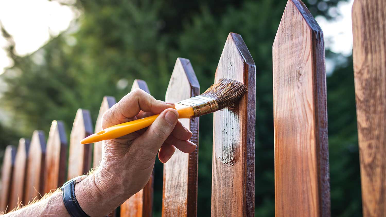 man painting varnish on wood picket fence