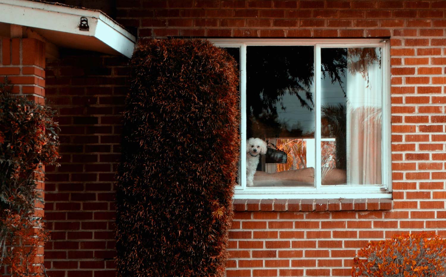 A view of a window of a red brick house