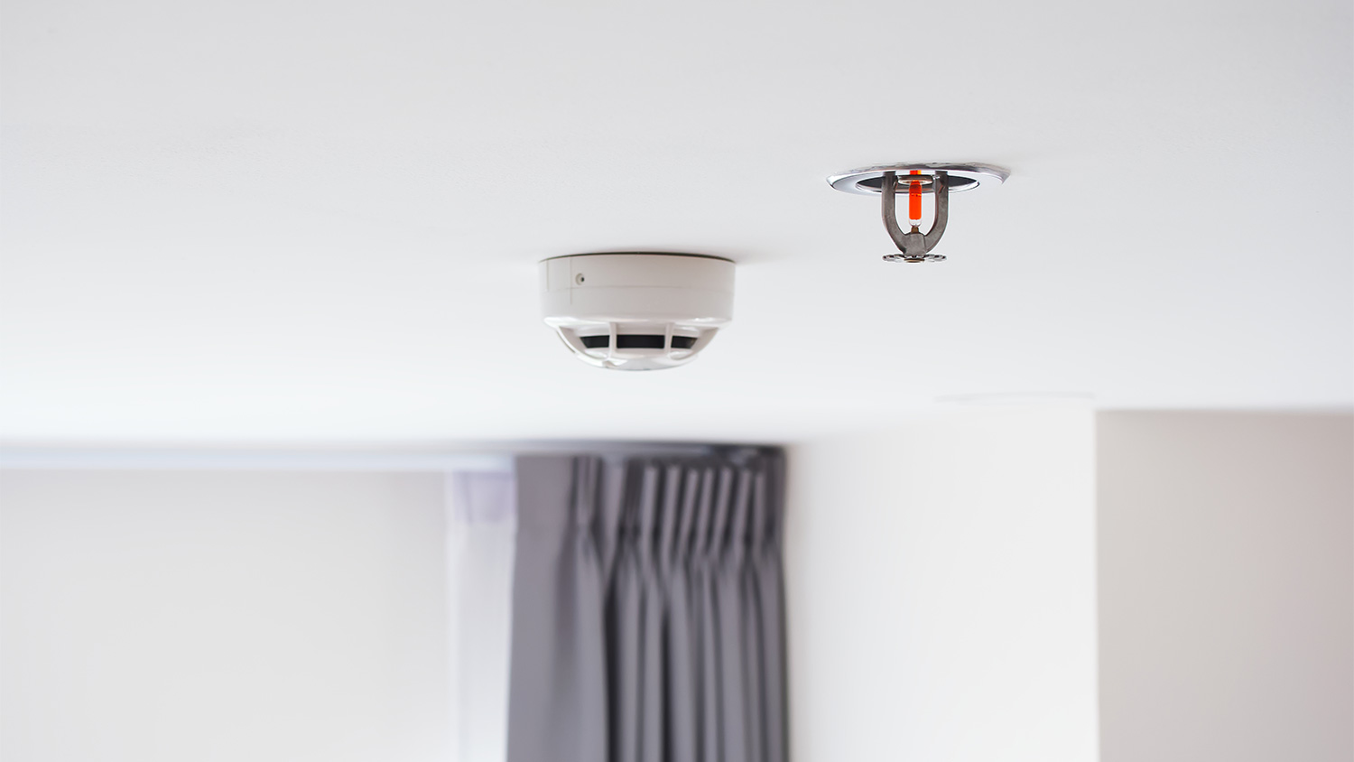 Fire sprinkler and smoke detector on bedroom’s ceiling