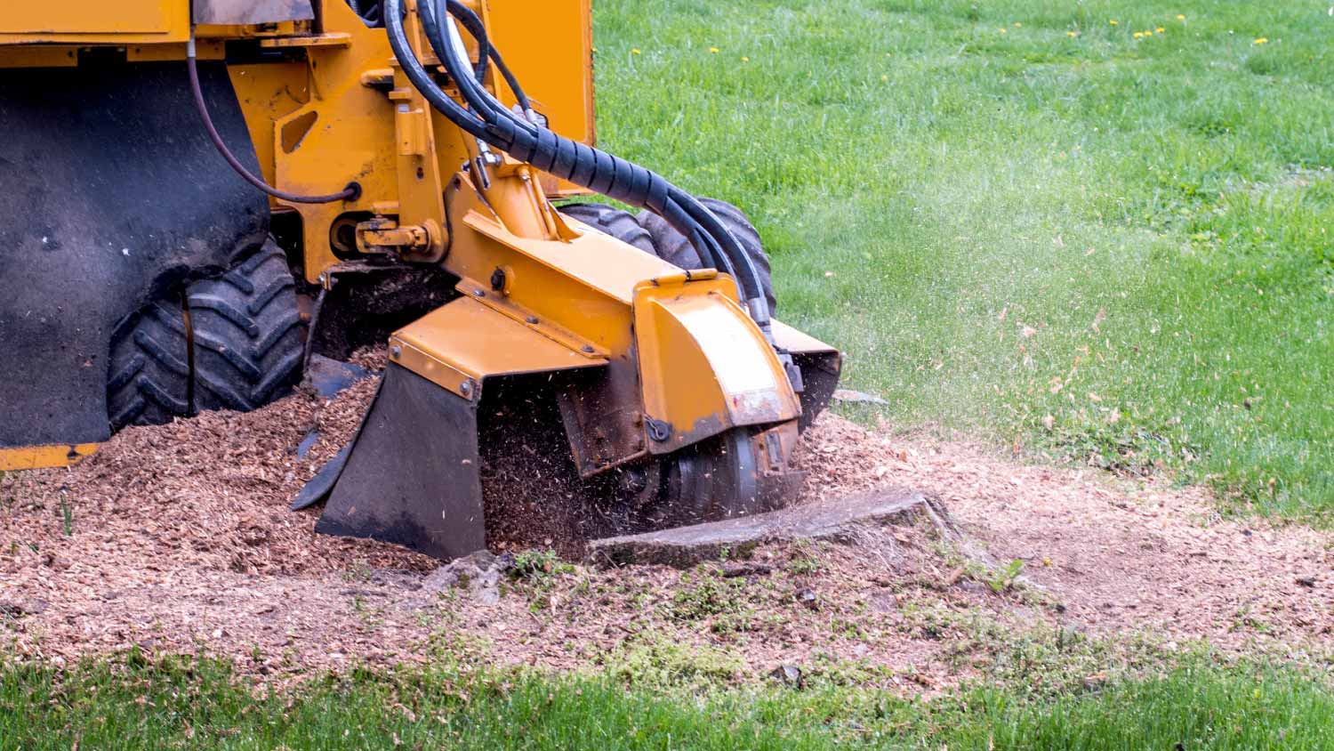 Close up of a stump grinder machine