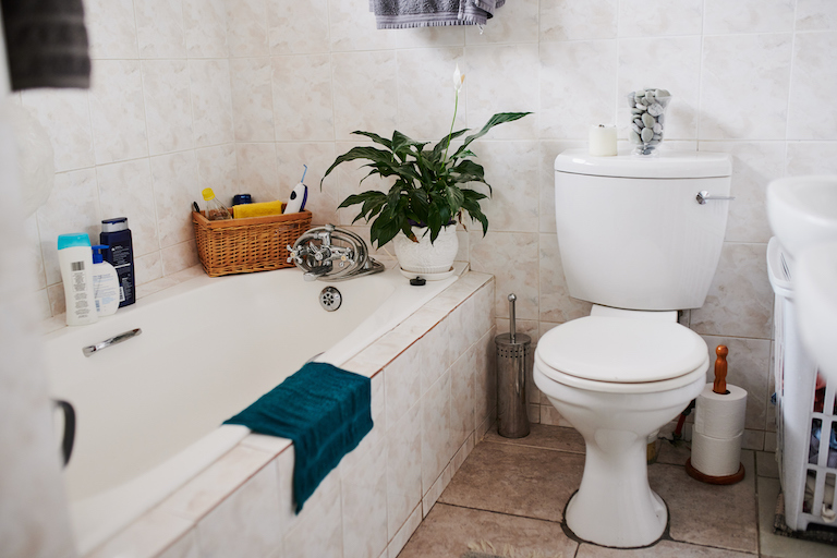 How To Use A Toilet Auger: Easy DIY Guide | Angi