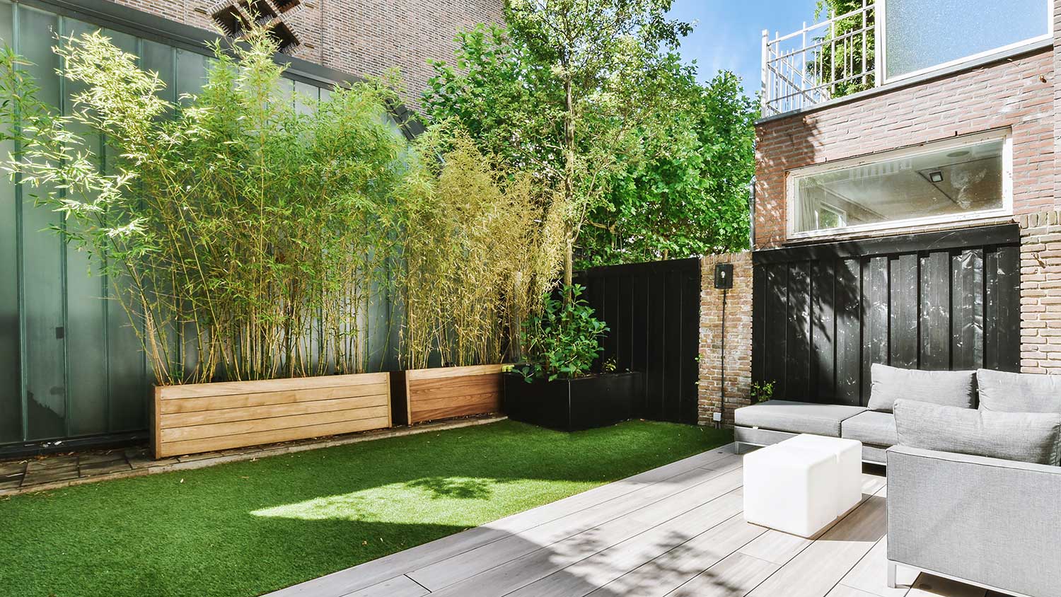 How to Plant and Care for Bamboo Outdoors | Angi