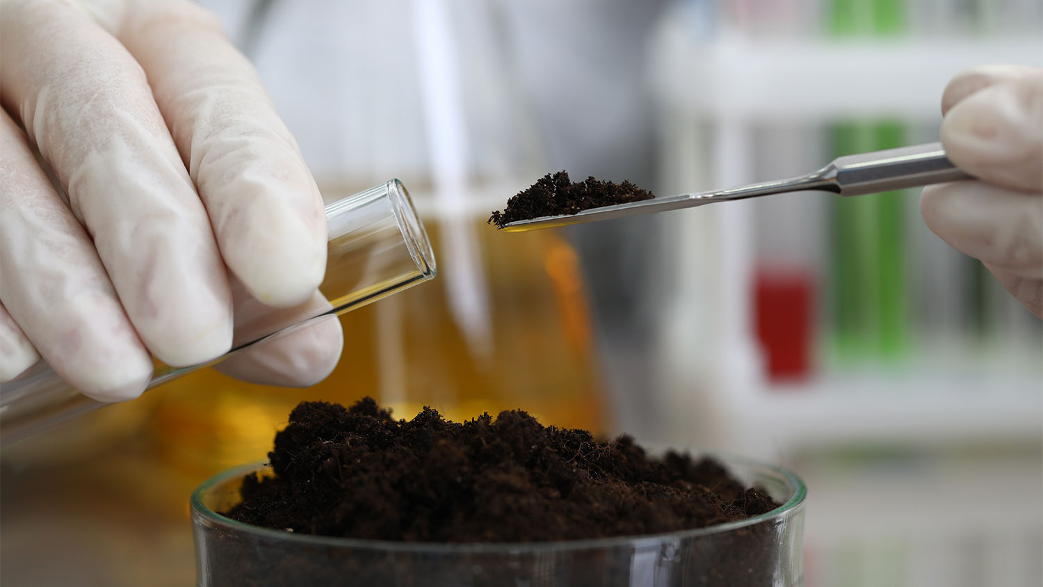 Soil is tested in a lab