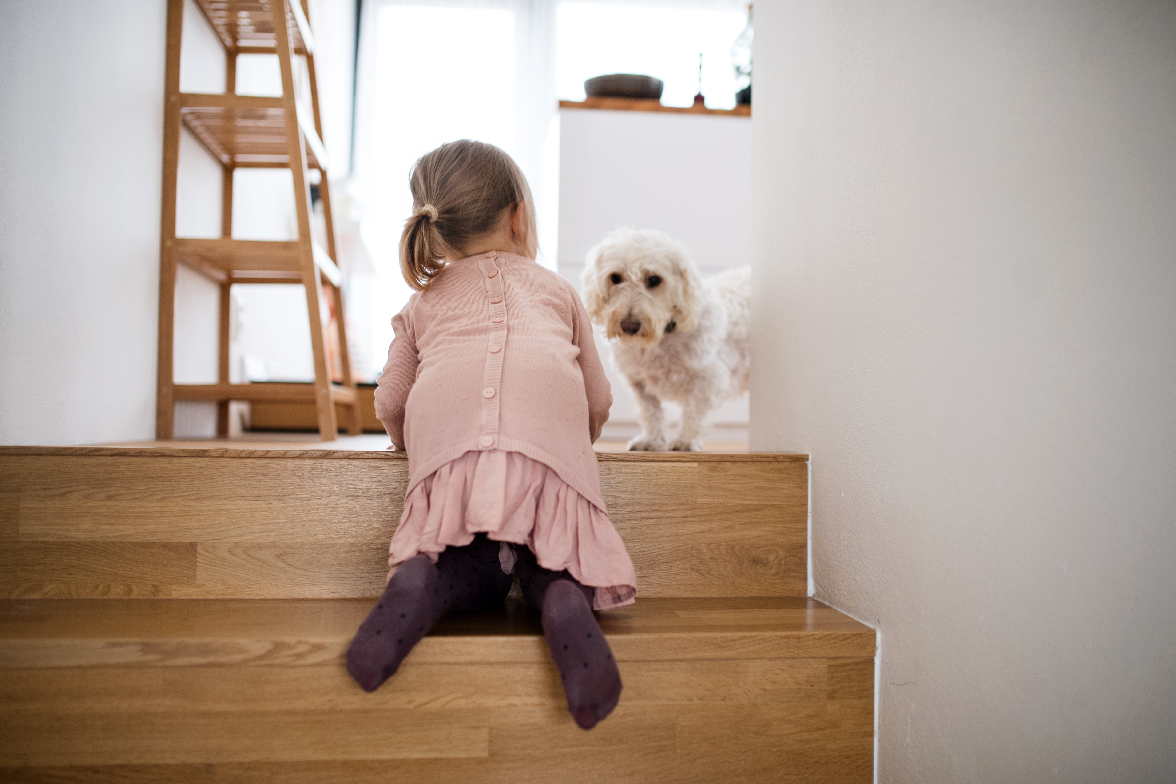 Little girl playing with dog on wooden stairs