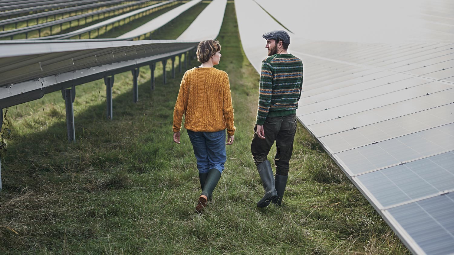 Farmers walking through solar farm