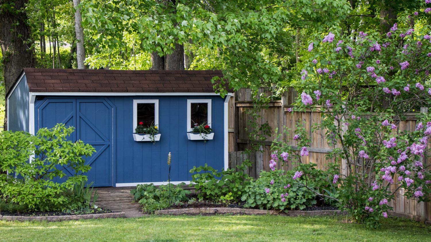 A garden shed in backyard
