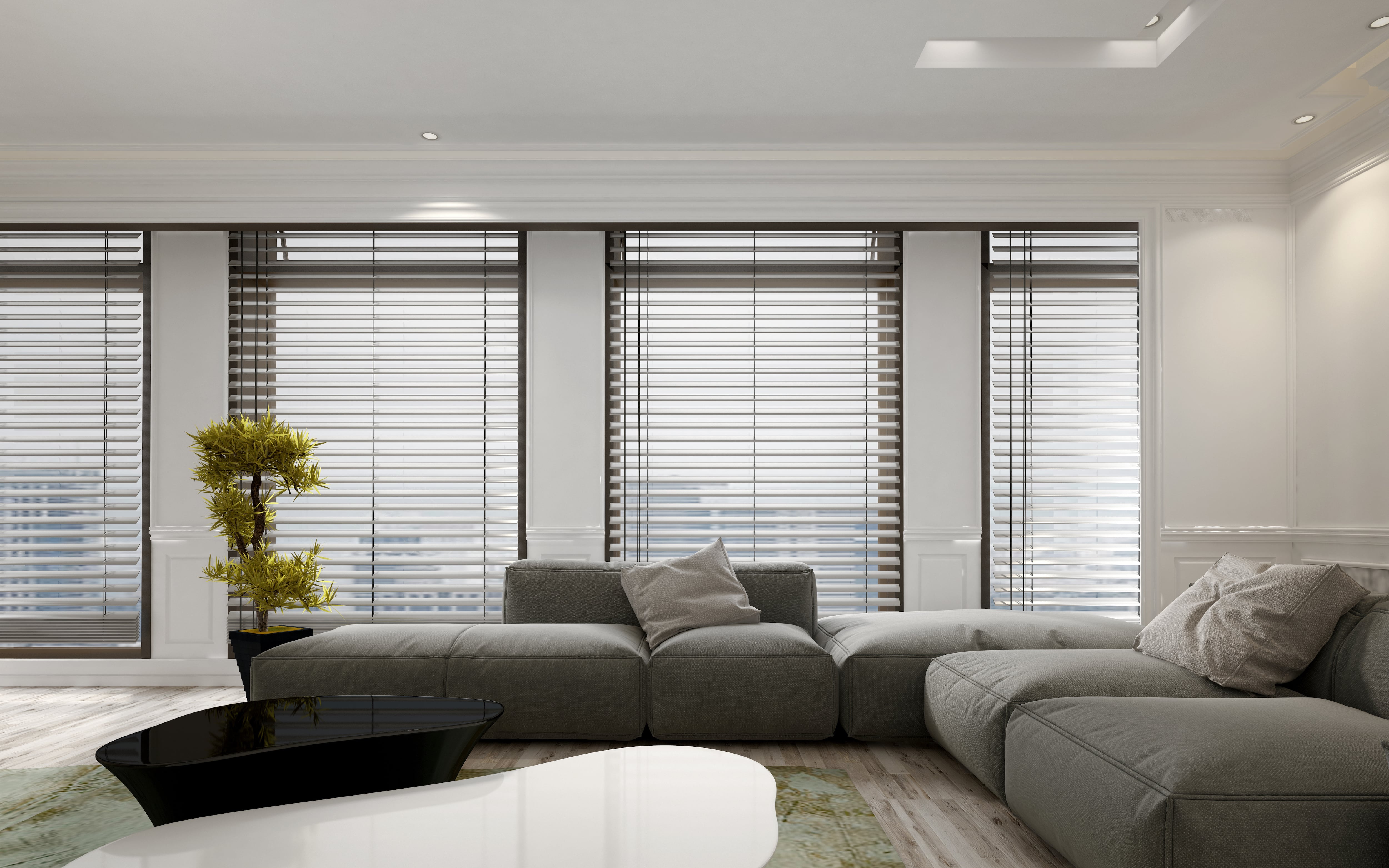 Venetian blinds in a living room