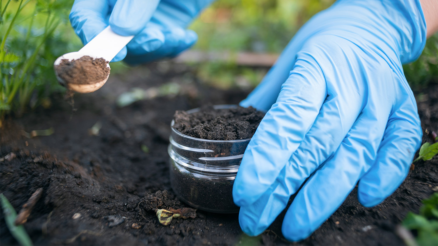 person taking soil sample