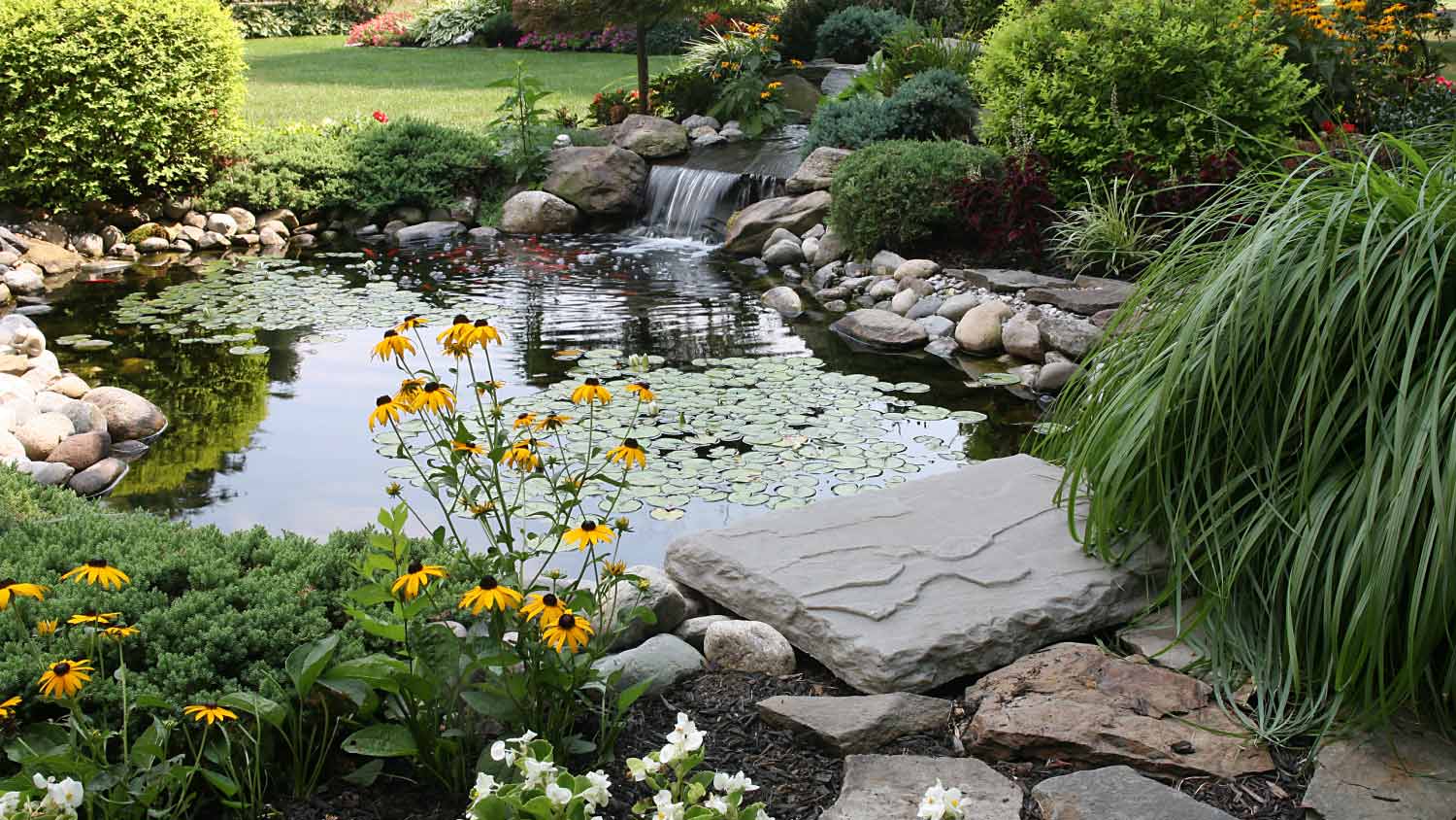 small garden pond