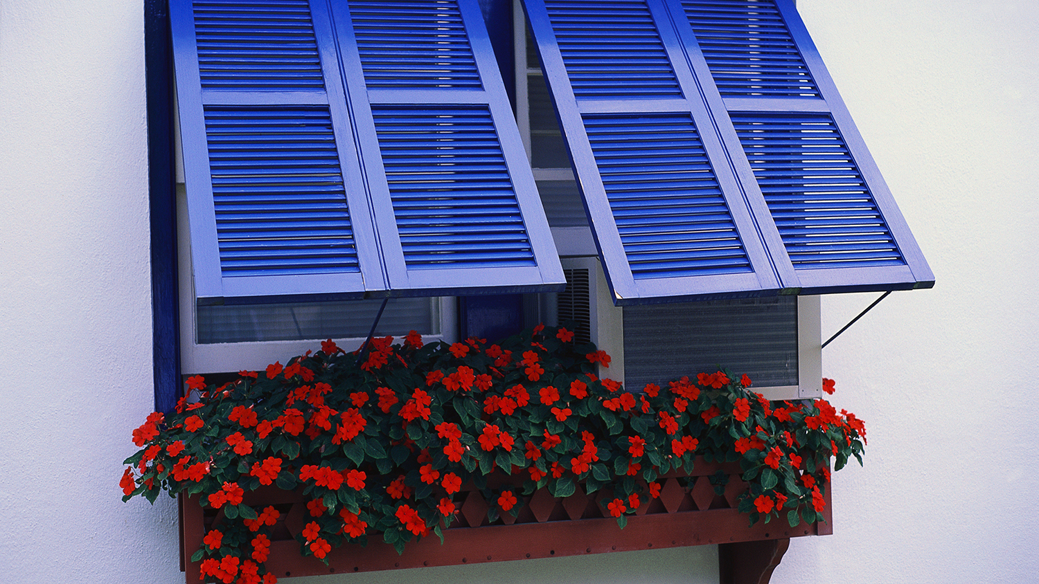 blue Bermuda shutters with flowerbox