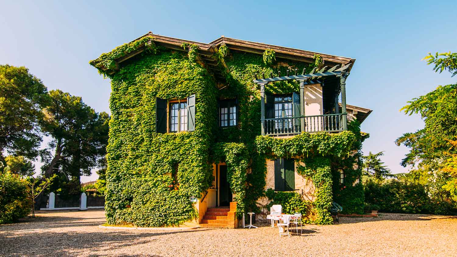 Pros and Cons of Vines on Your House | Angi