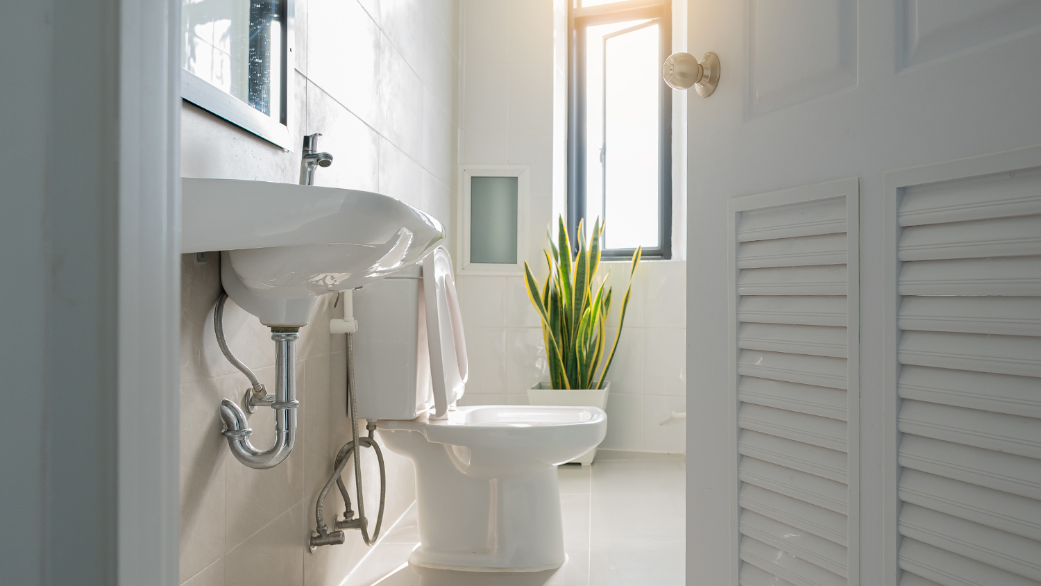 toilet seat up in a bathroom