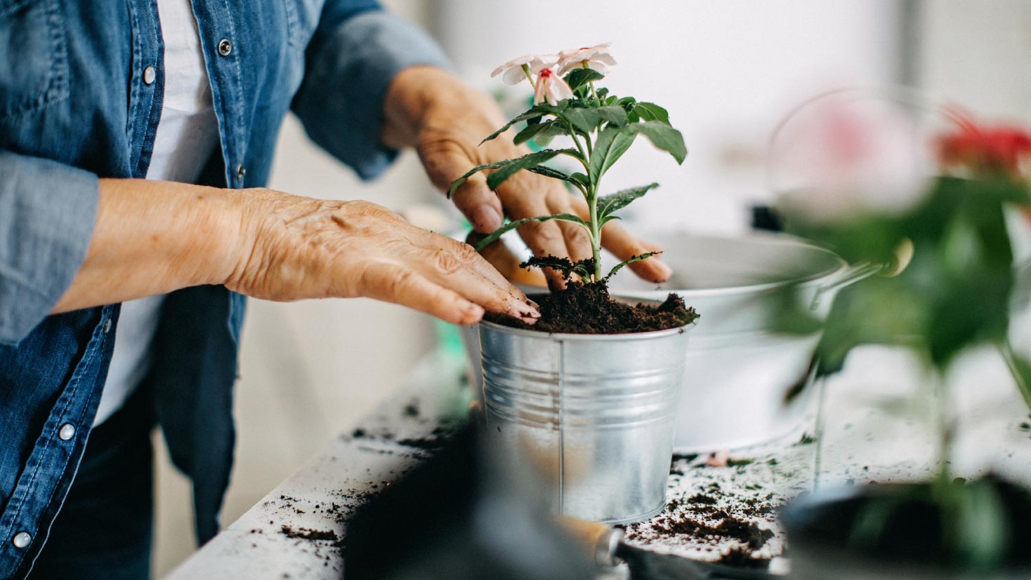 small bag of potting mix Potting Soil Mixes