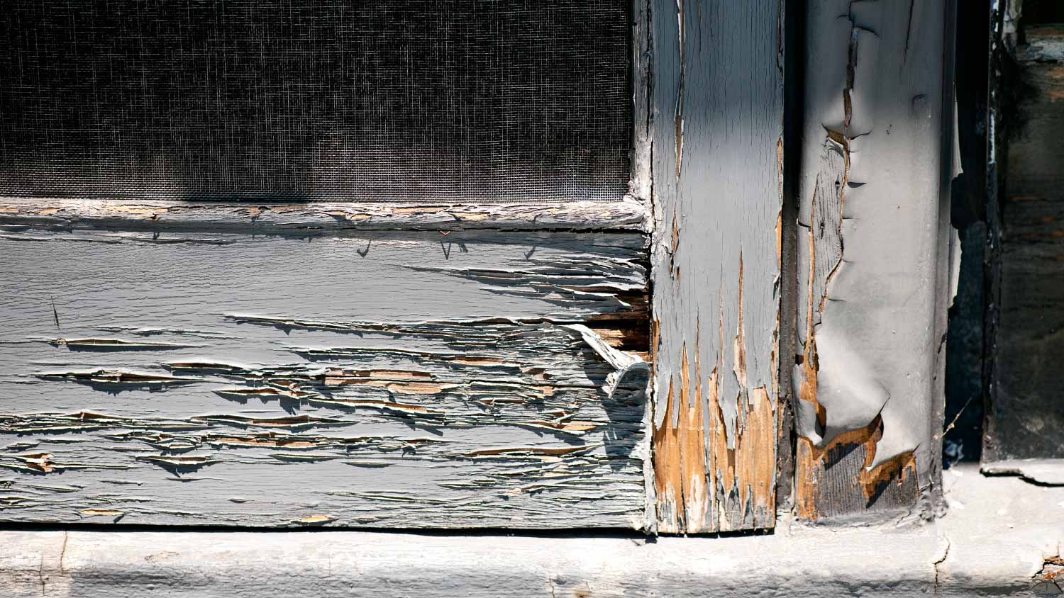 Dry rotted wood door