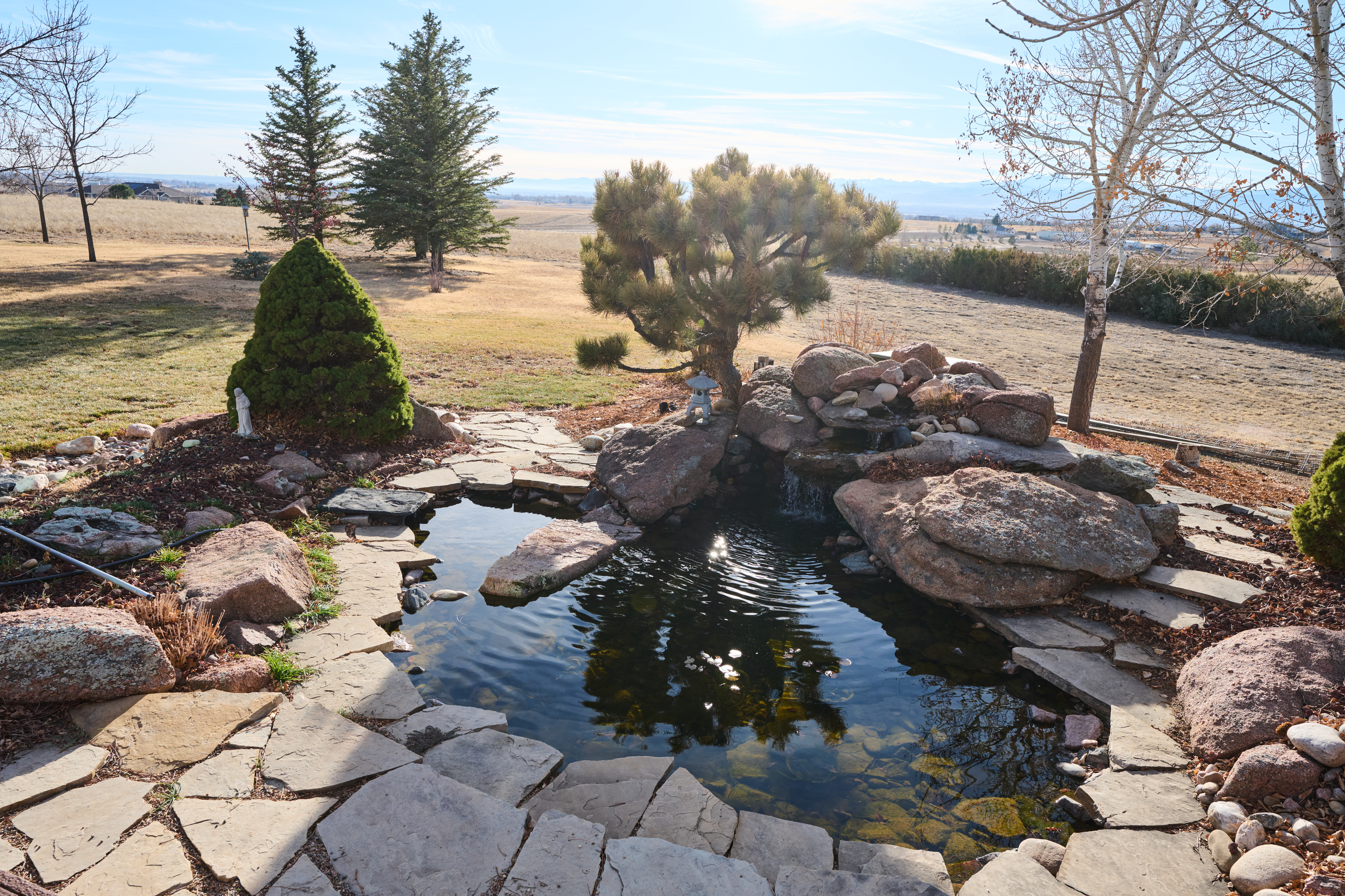 Backyard pond with stones.